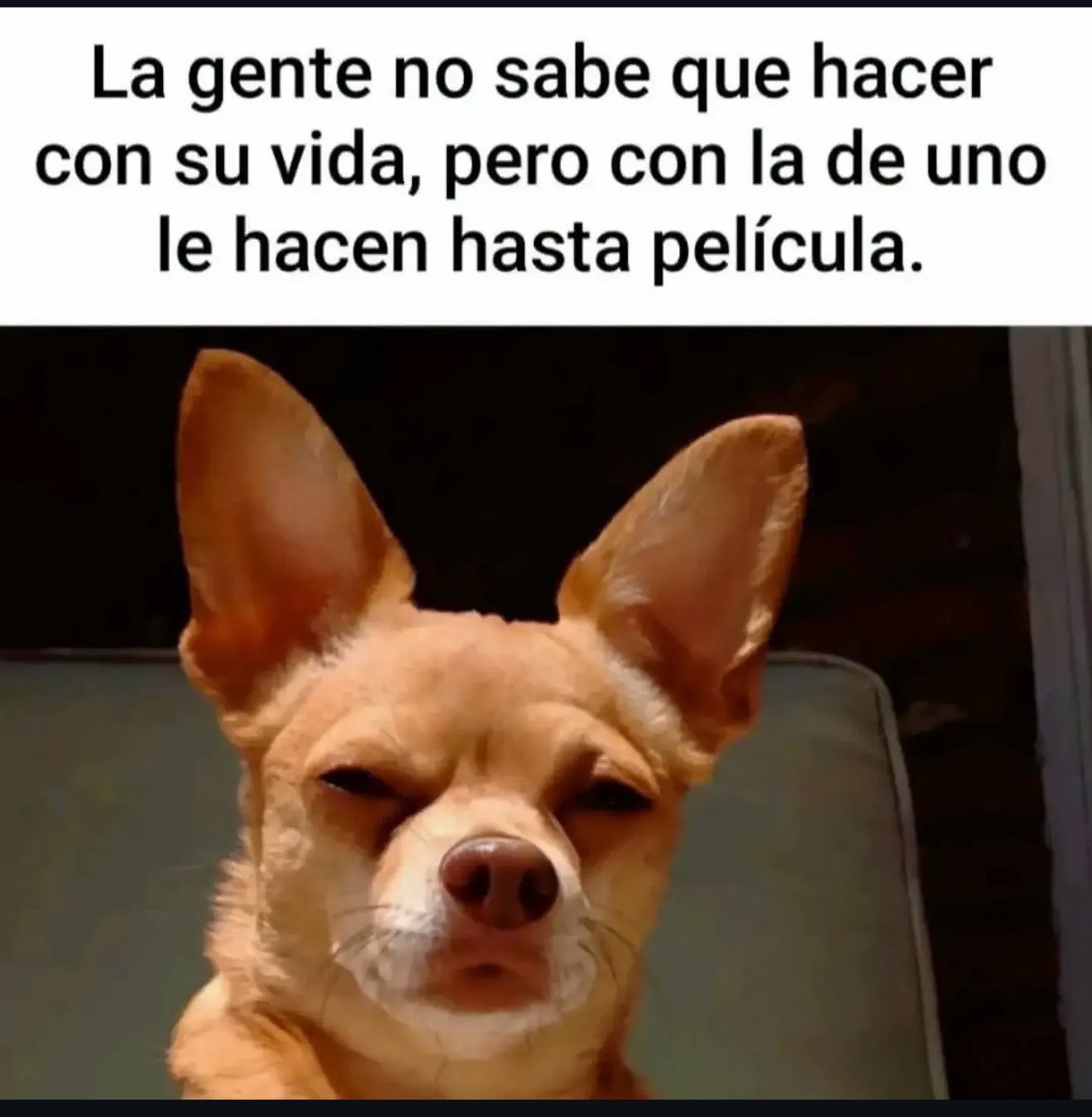 @🖤Butter cup Y🎶