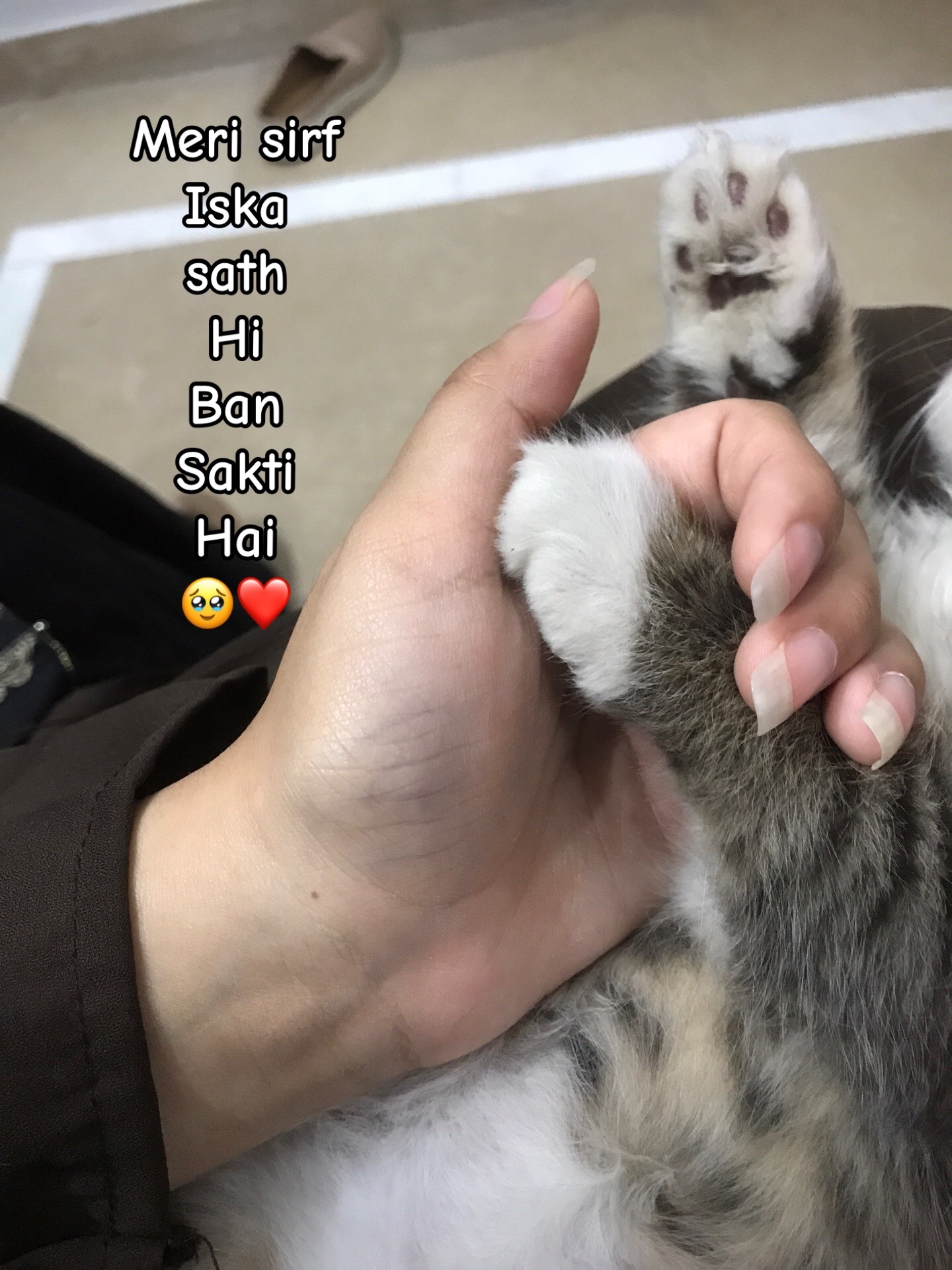 @꧁༺𝓐𝓶𝓫𝓮𝓻༻꧂