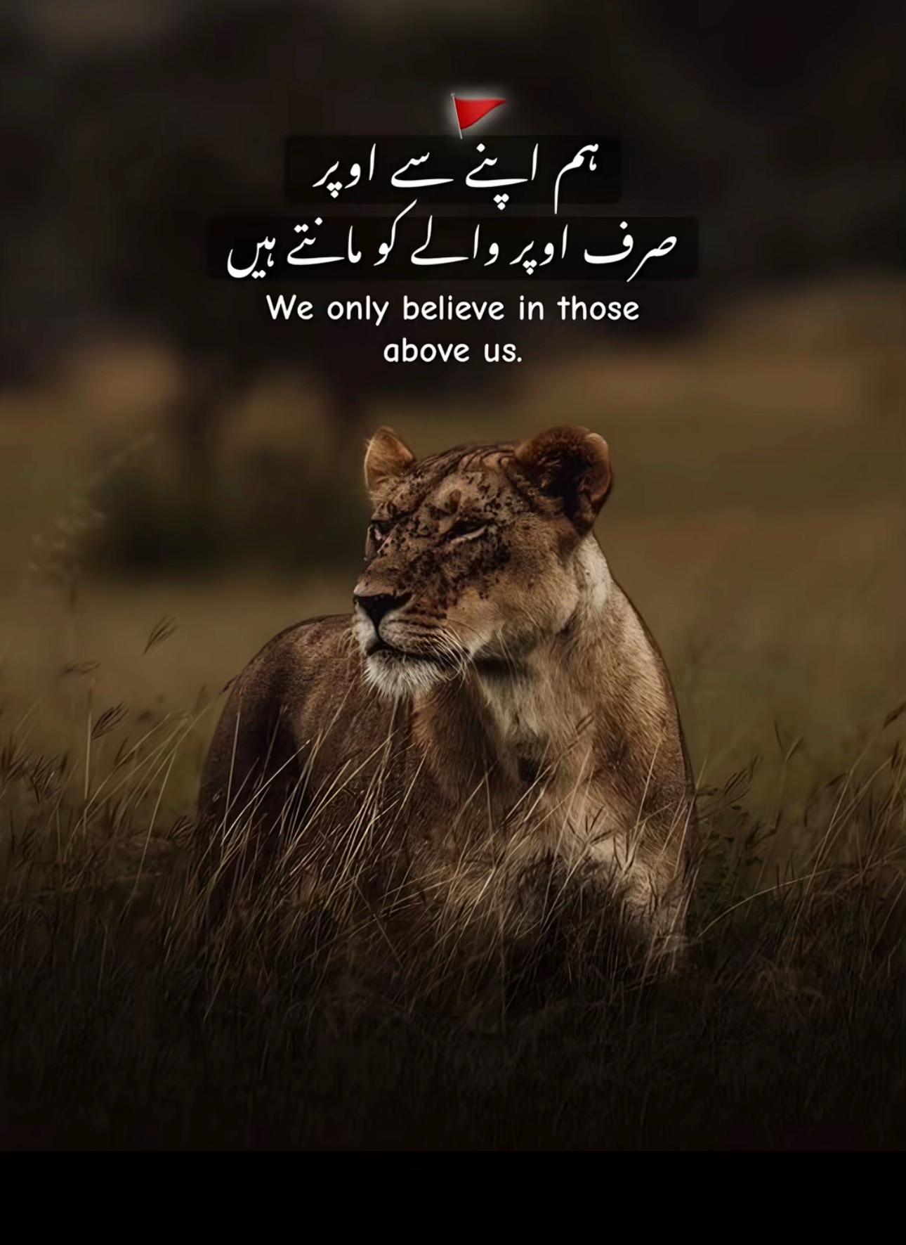 @ČĦUĎħĘŘŸ👑MîÅŅ🦁