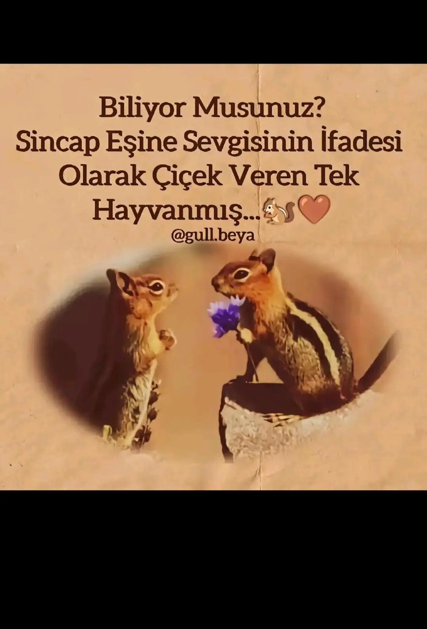@T_K 41_58 🦞