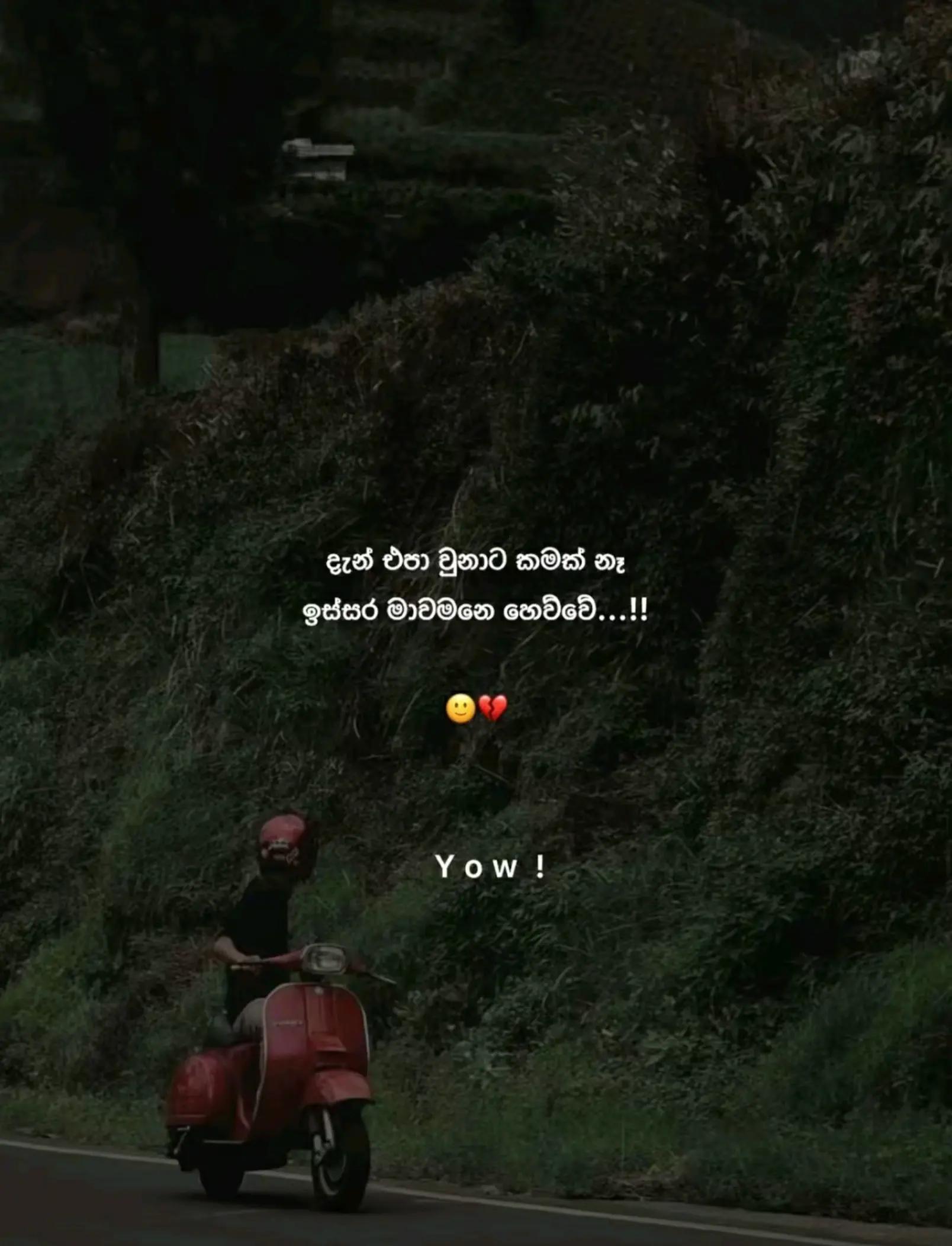 @𝑷𝑶𝑫𝑰𝑰 🇰🇷