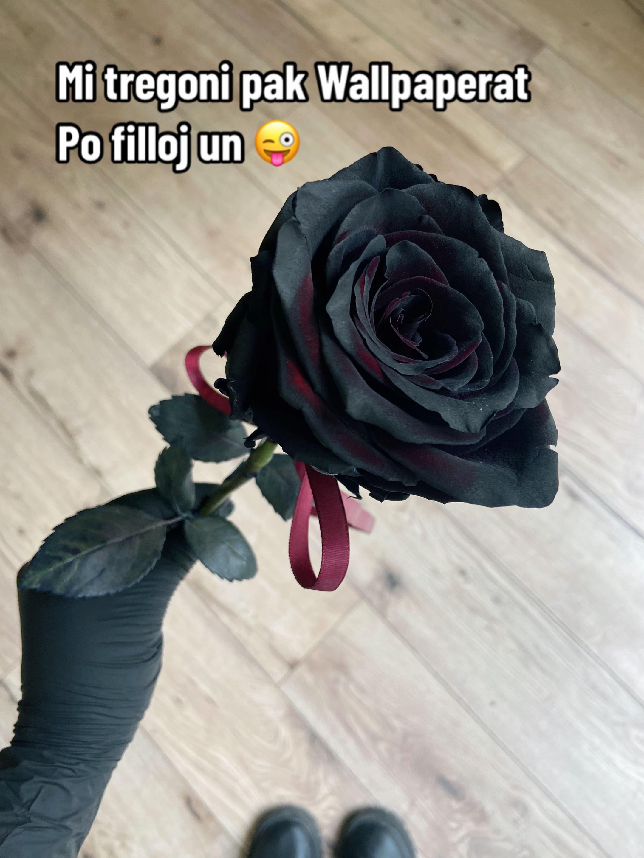 @ra1en_black