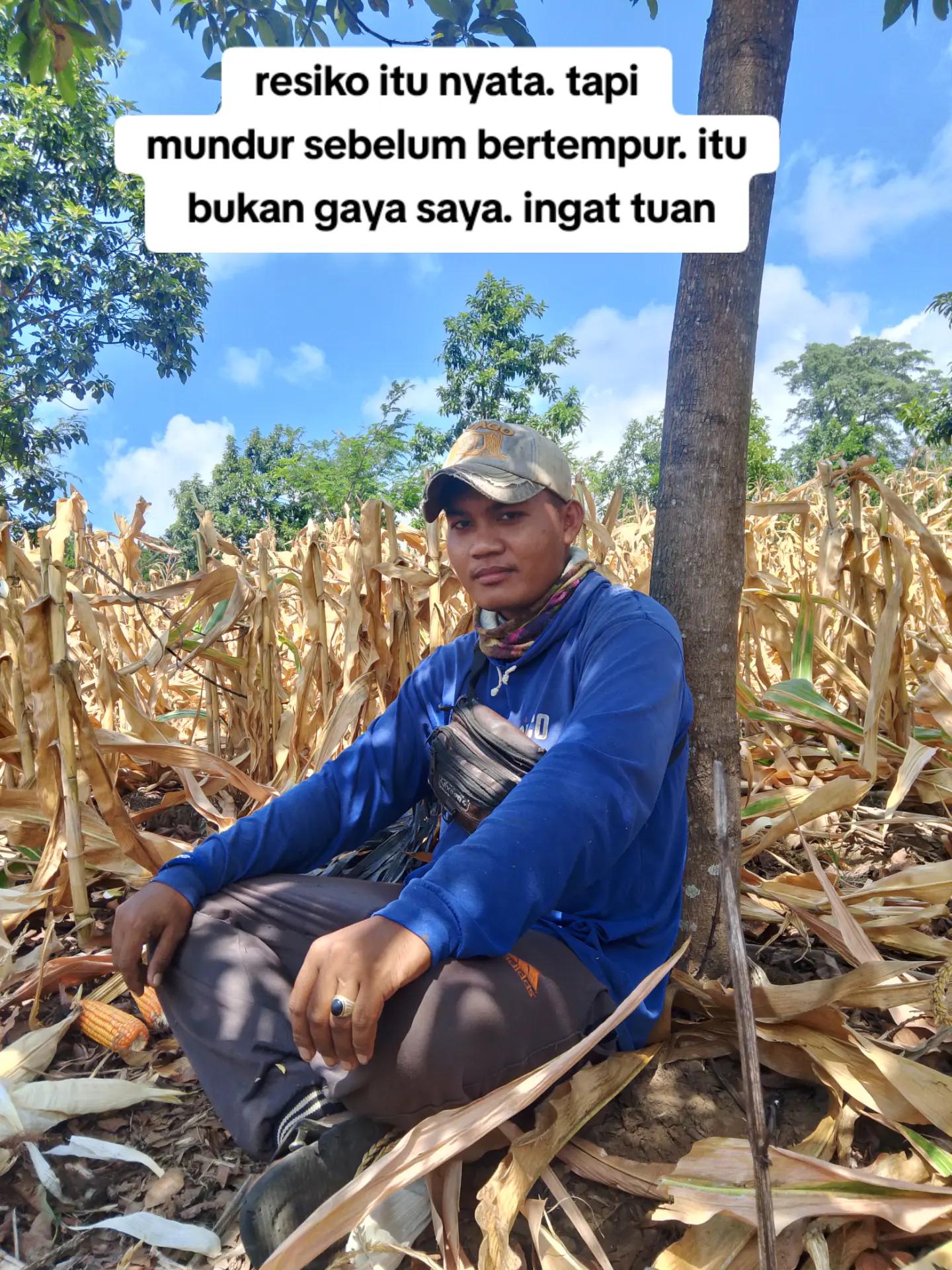 @Reng dhisa