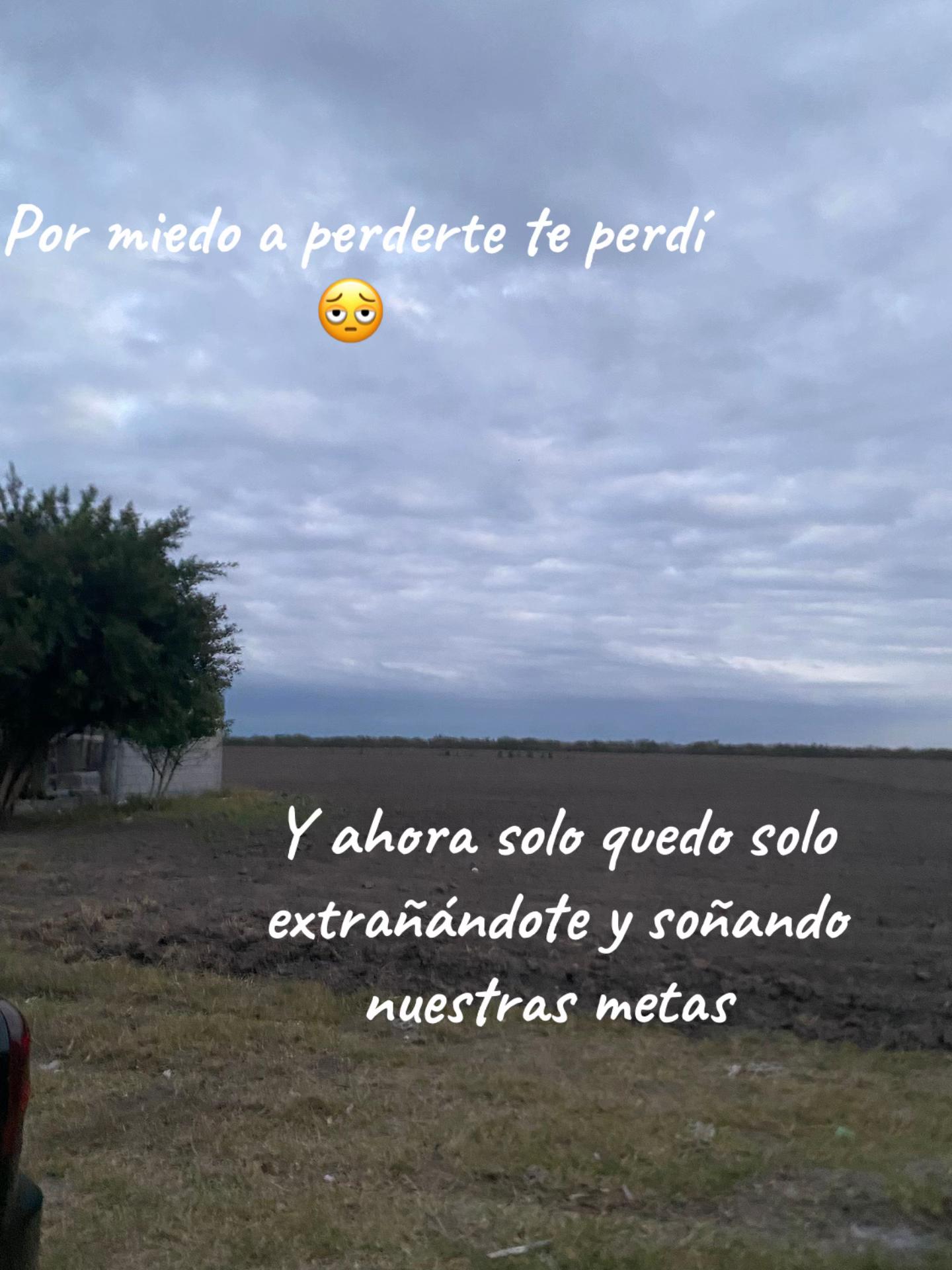 @Humberto Rocha