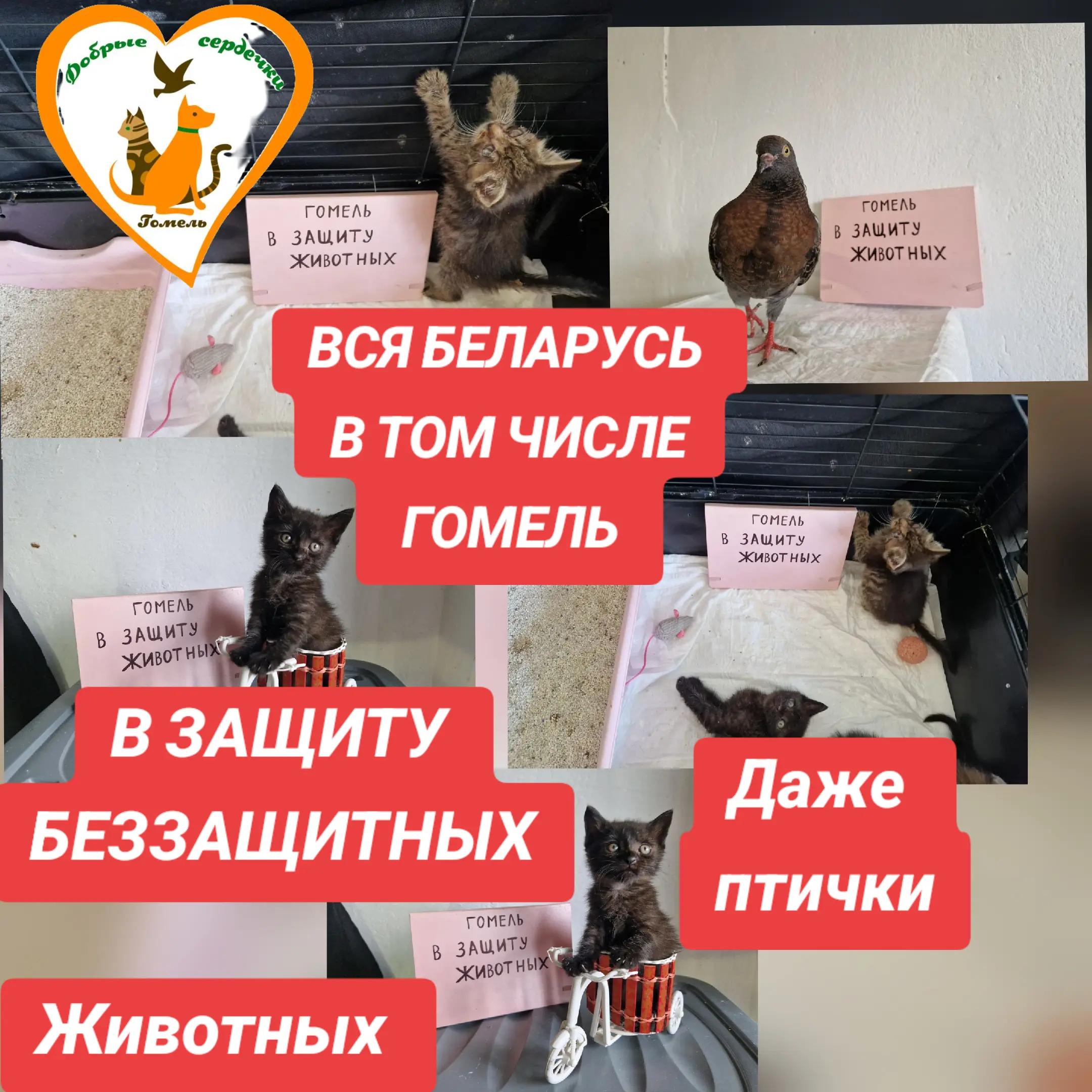 @Марина