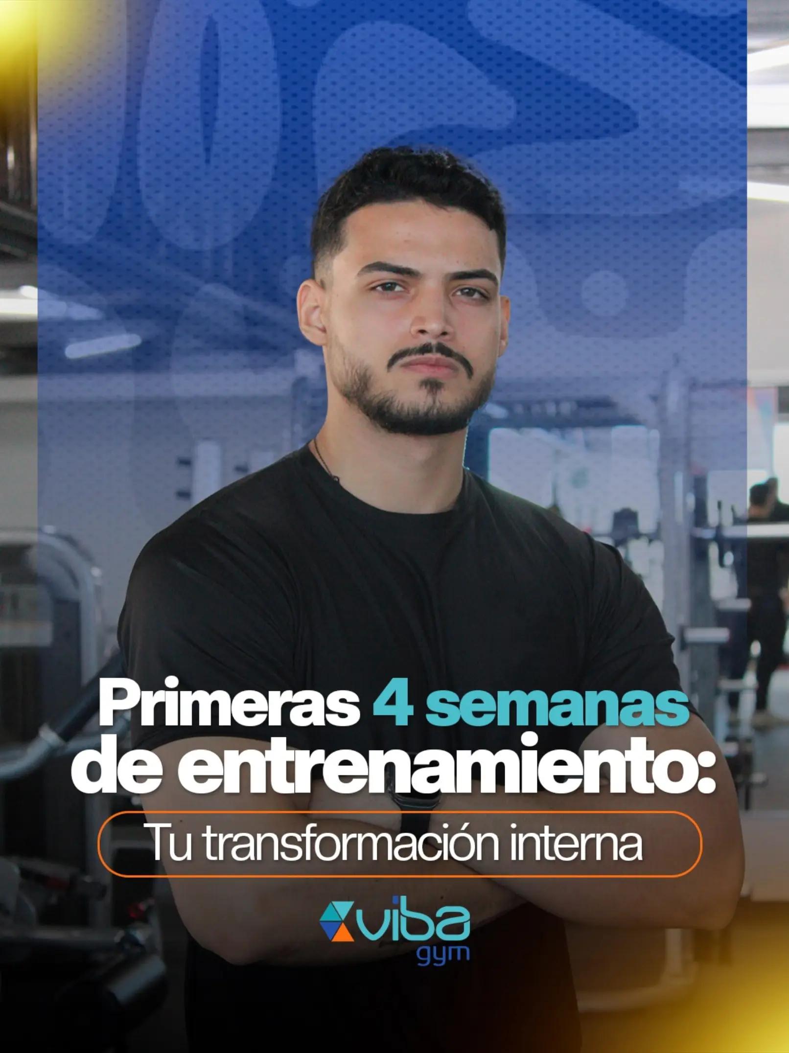 @Vibagym