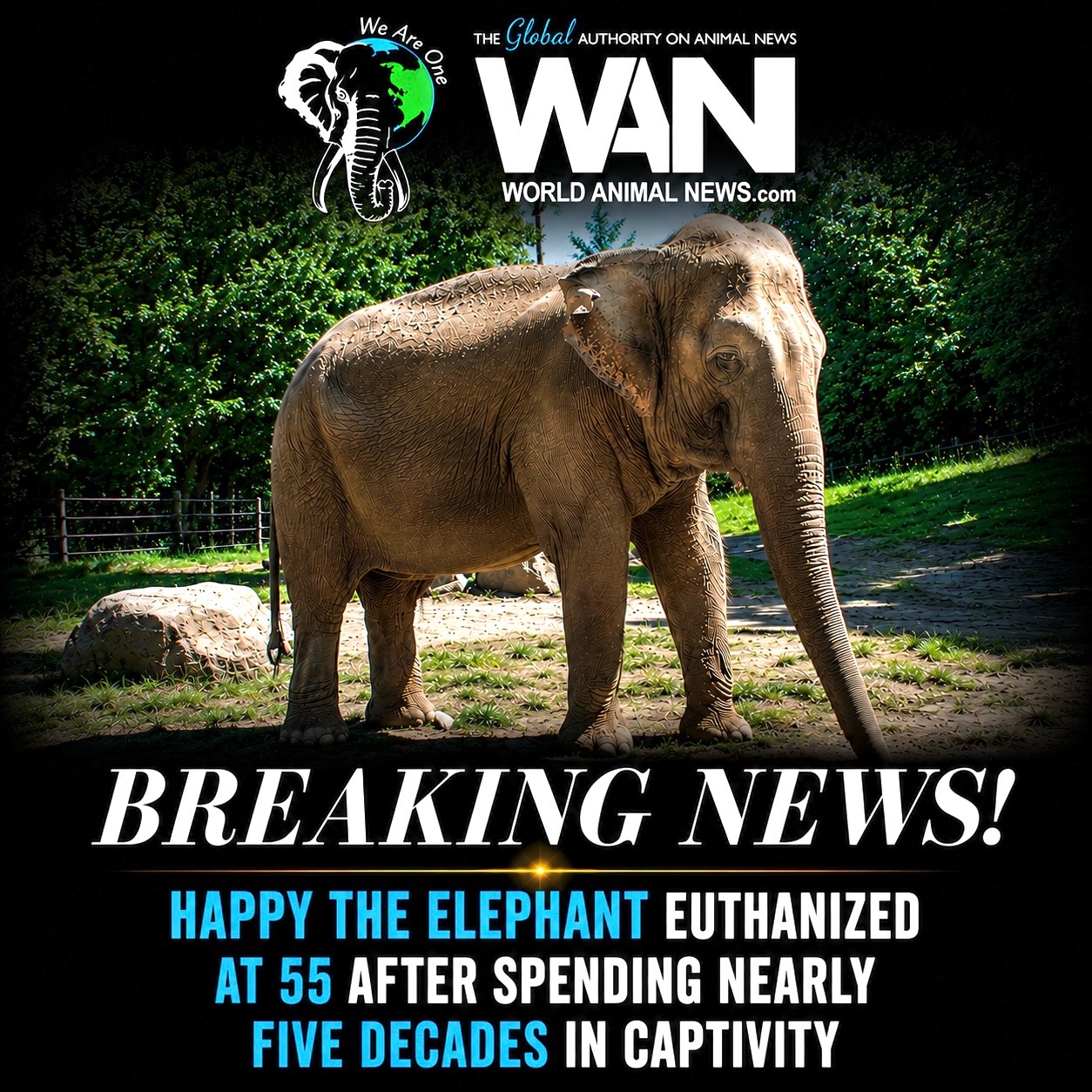 @WAN🐘