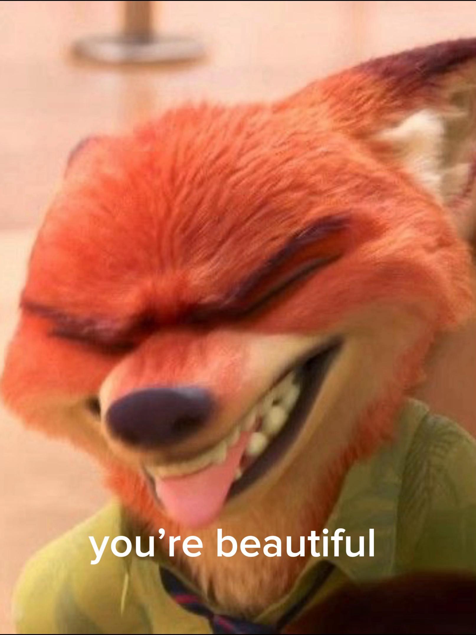 @𝑩 𝑶 𝑶 𝒅 𝑵 𝒀 🦊