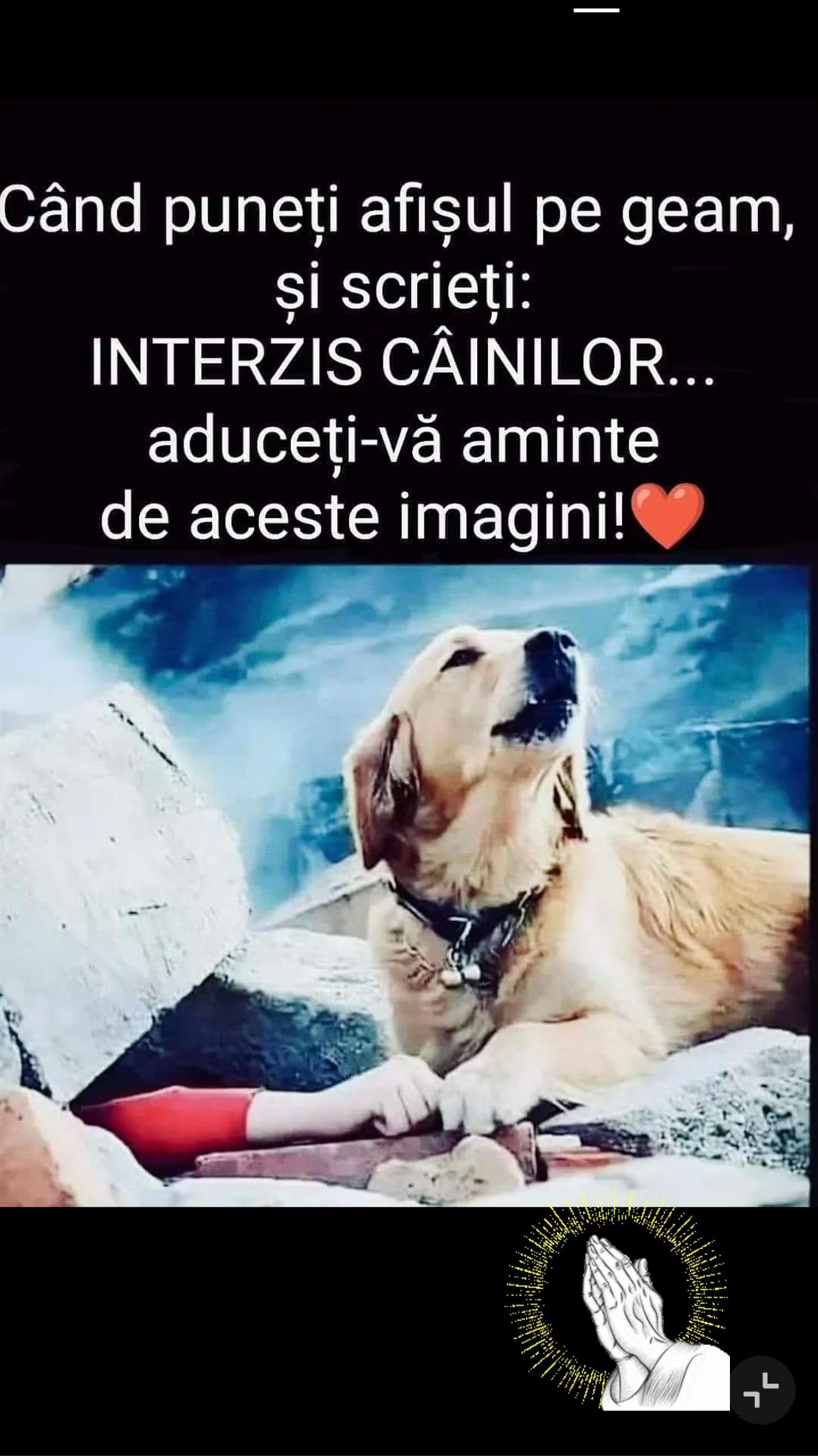 @Mirela