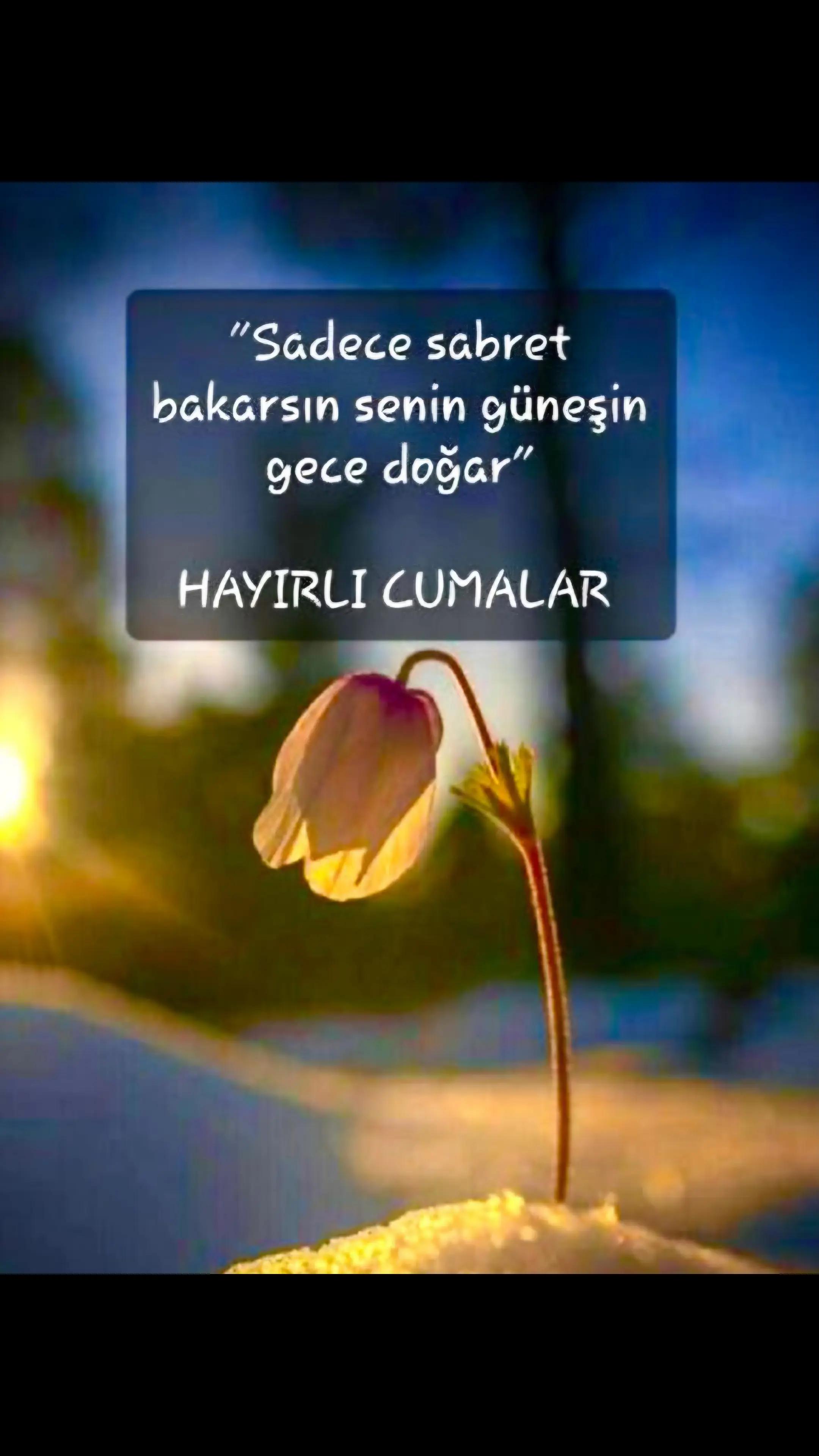 @✎﹏﹏𝐾𝑎𝑑𝑖𝑟 Ş𝑎ℎî𝑛﹏﹏