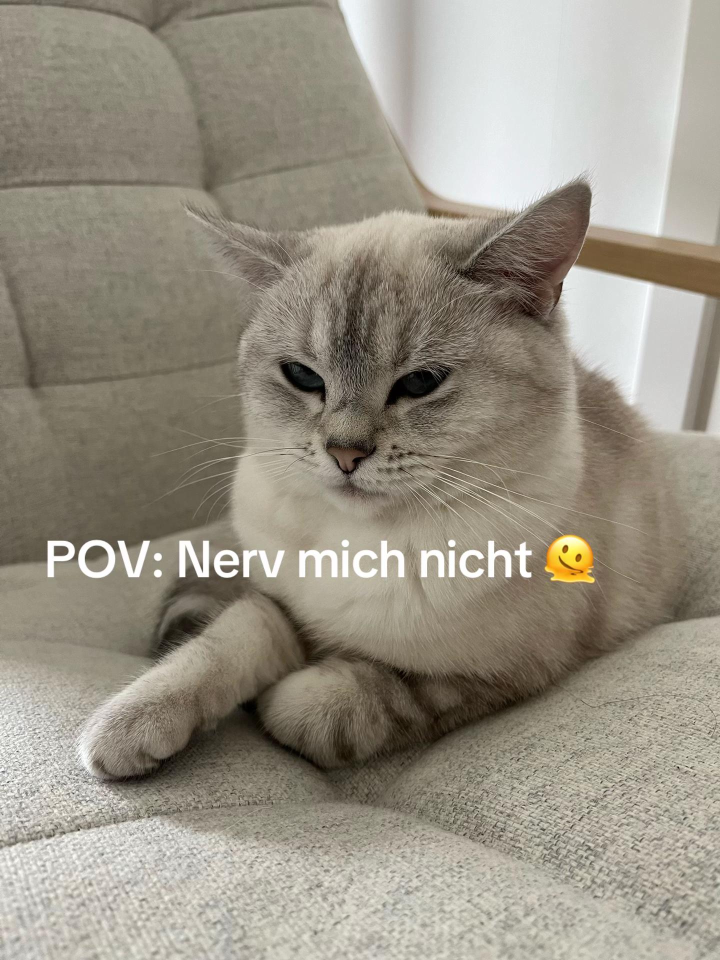 @Maya