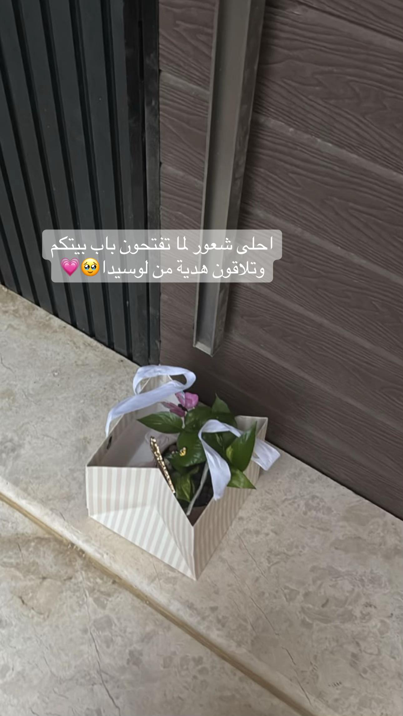 @لوسيـدا-الباحة🪴