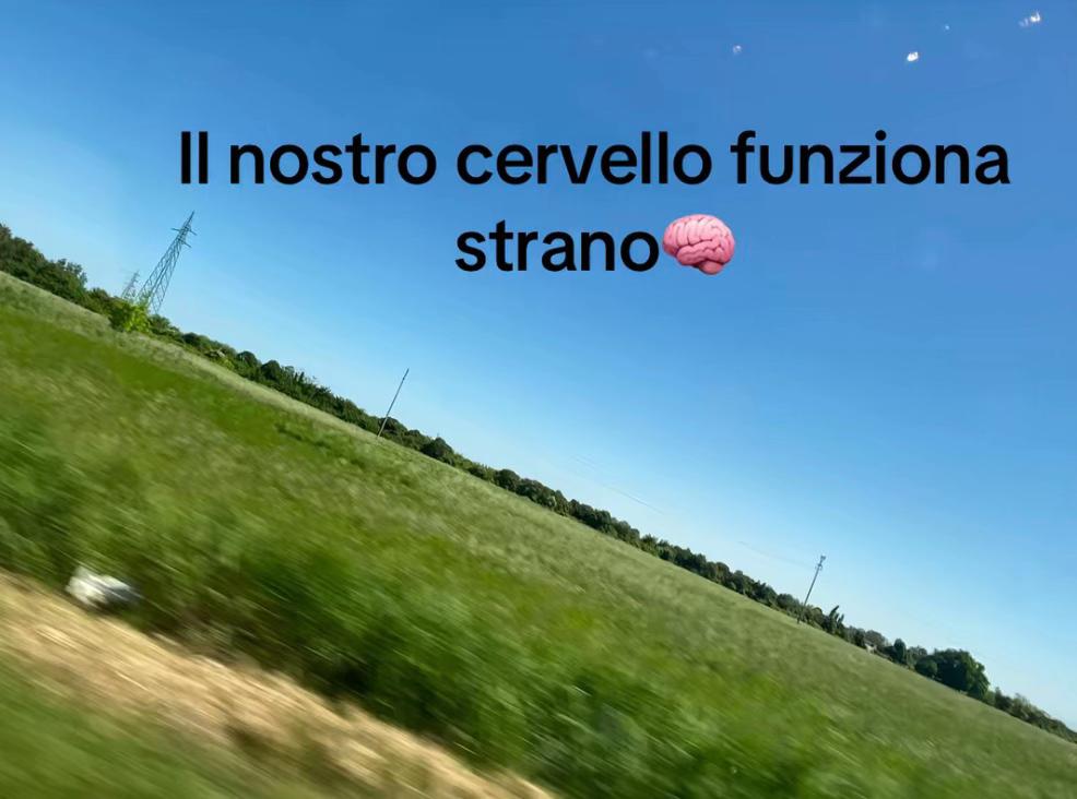 @IL_PRIV_DEL_VINZ