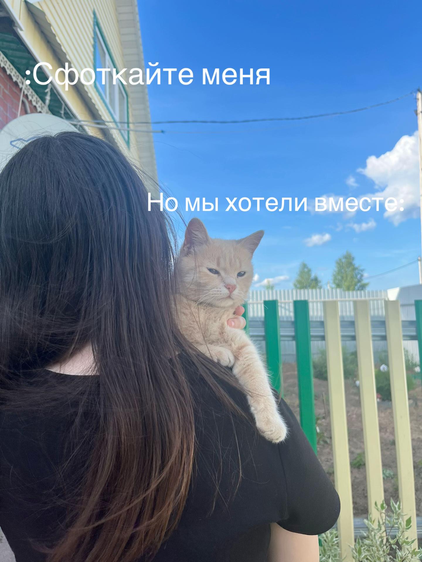 @Arinka ྀི