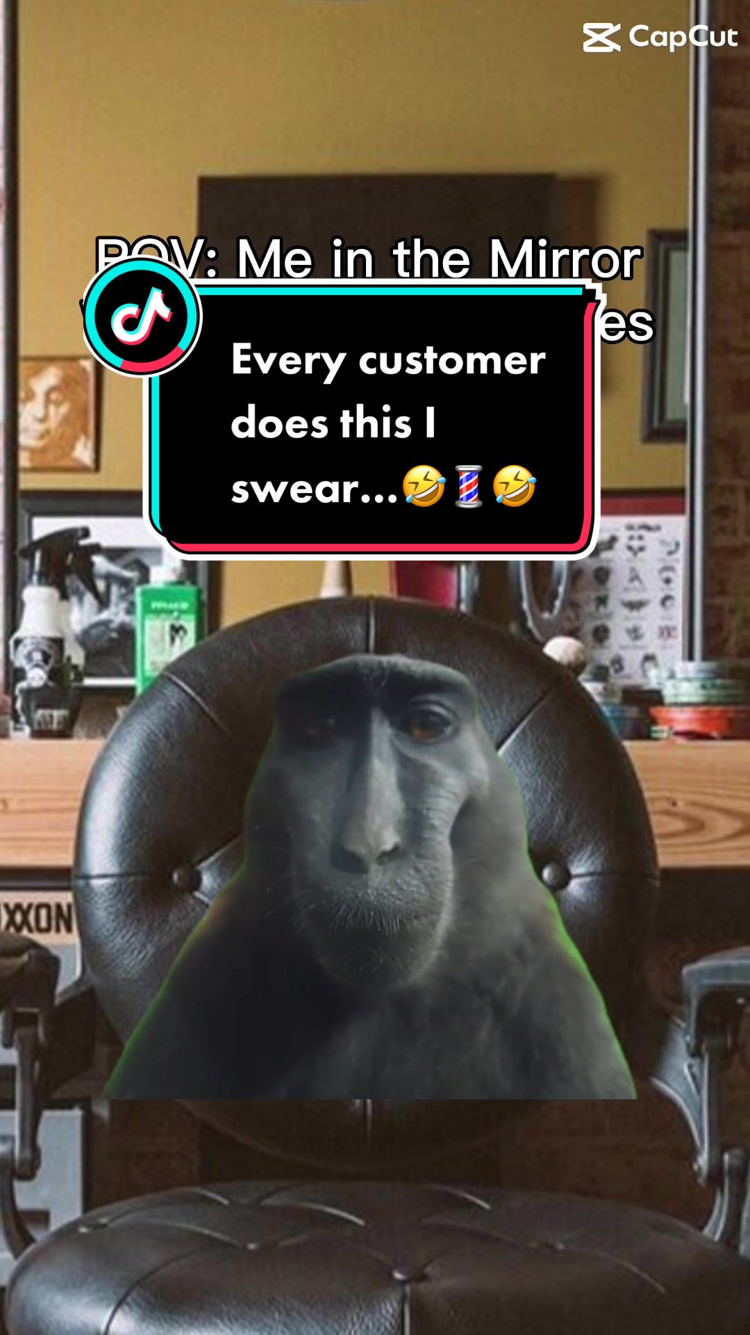 @clipnwhipllc