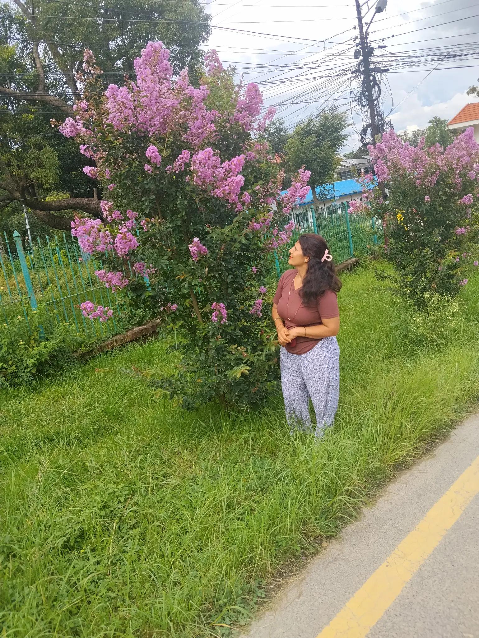 @Durga Paudel Timalsi