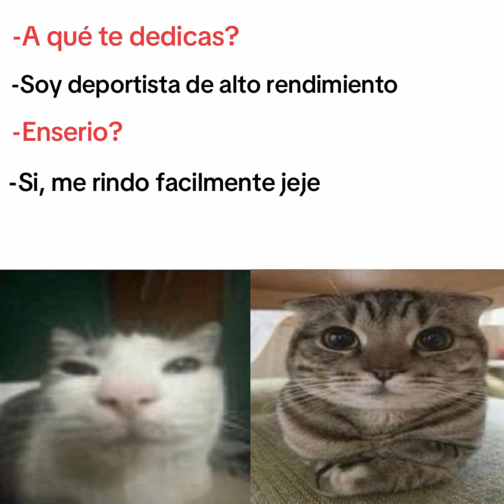 @momazosnegromarronjeje