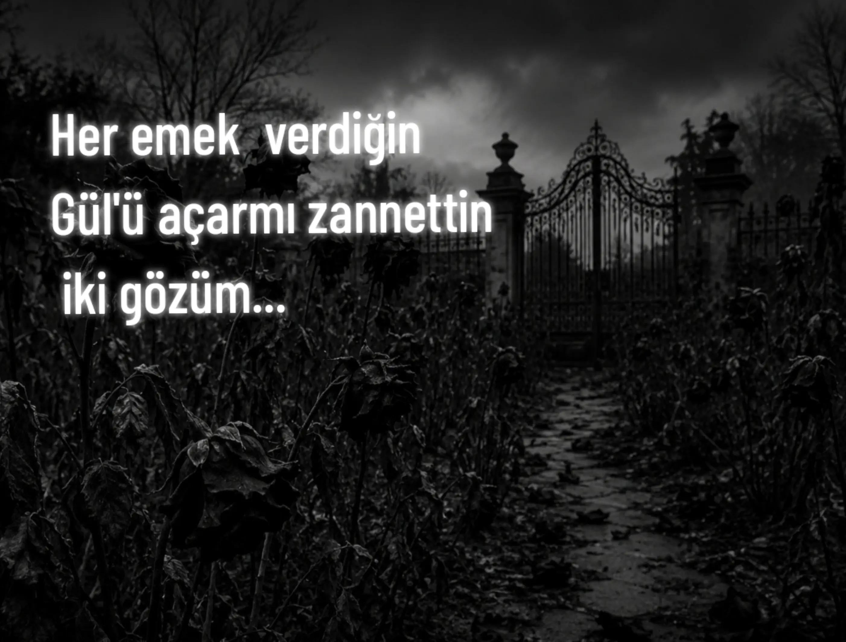 @💢zємнєяi💢