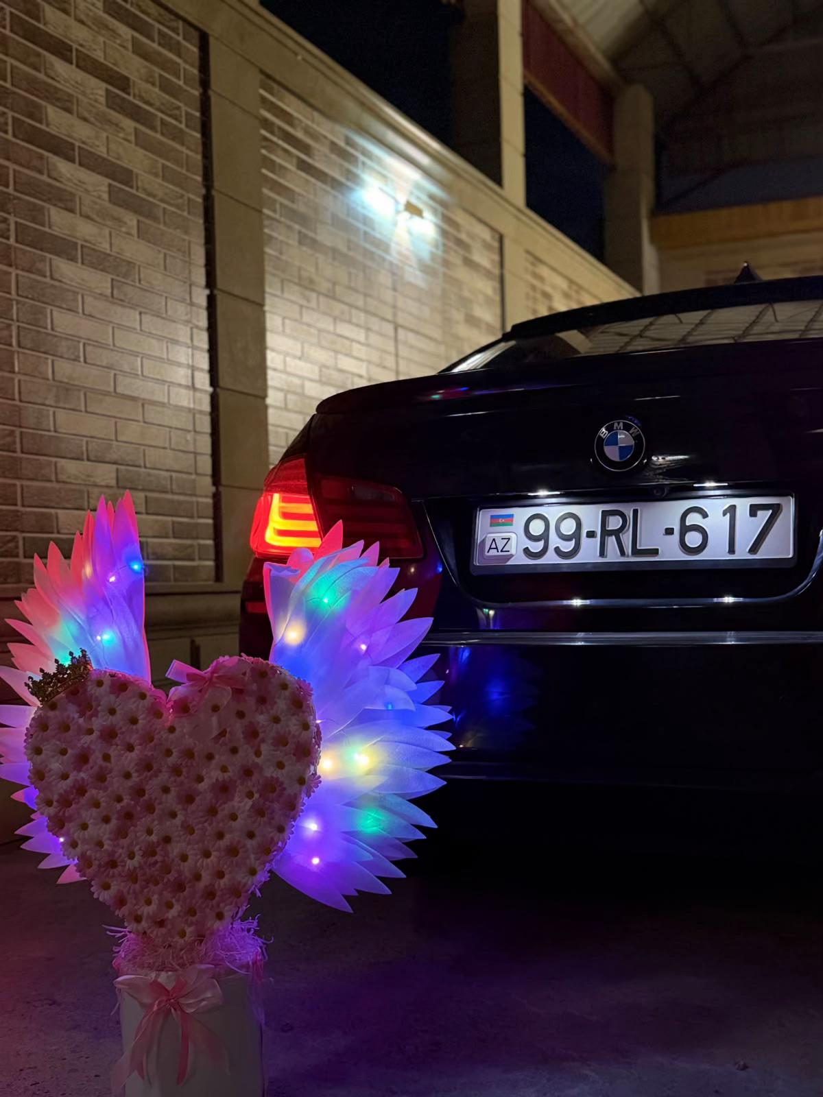 @Ceko 🐆910