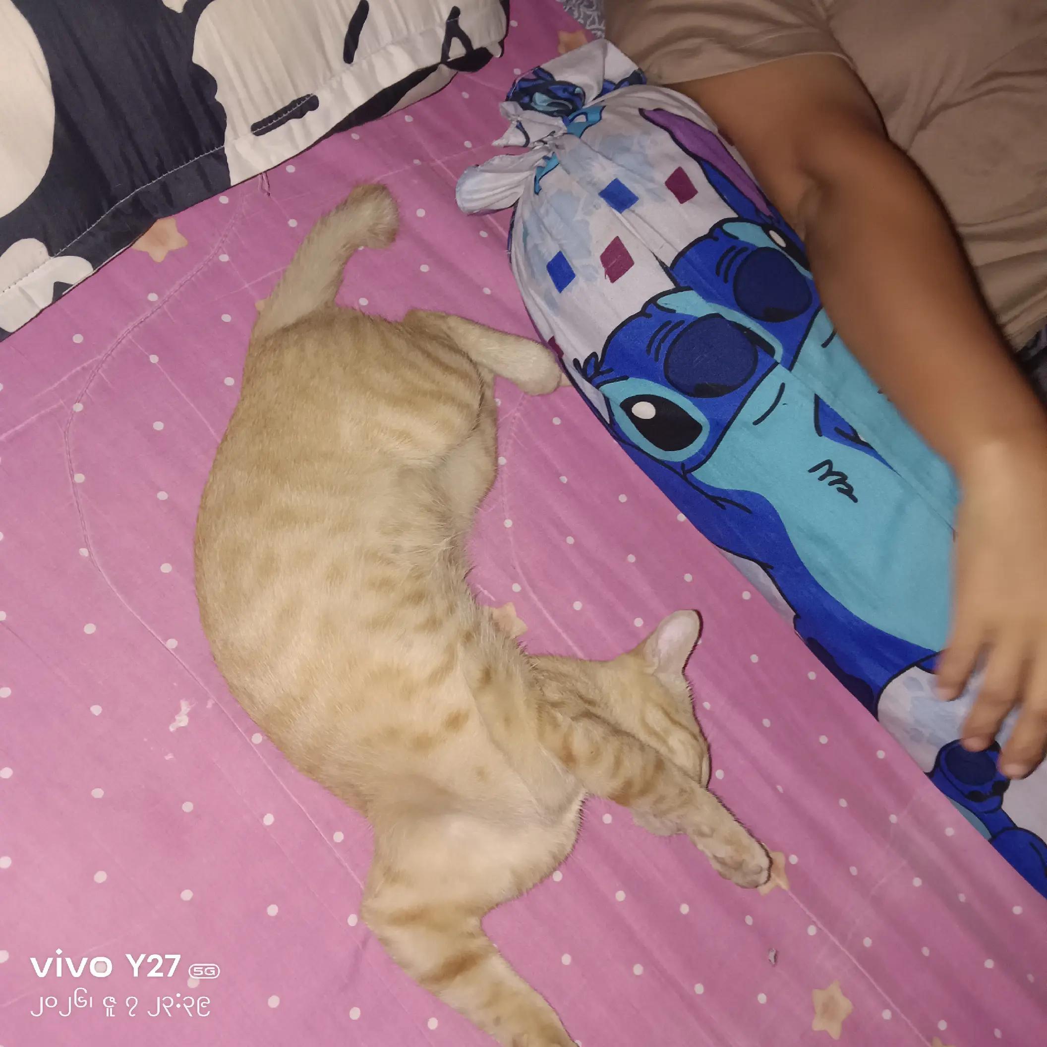 @หมด