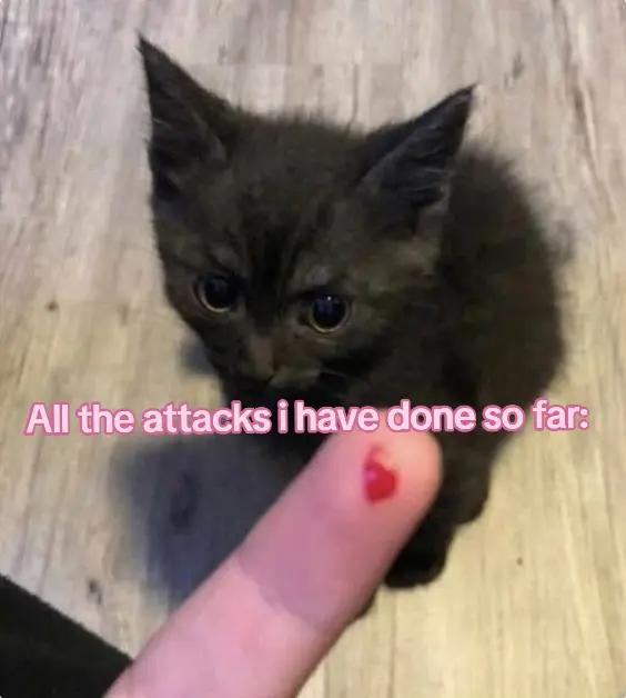 @M4R