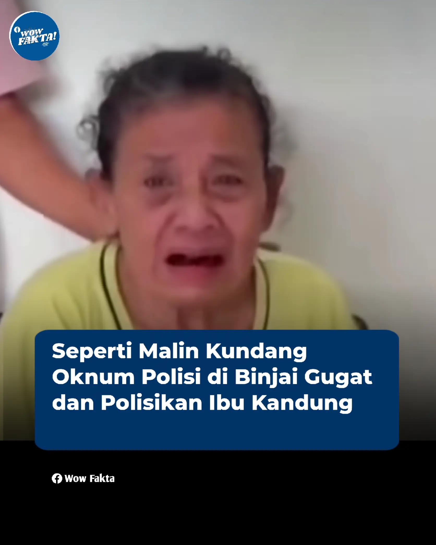 @INFO OKU TIMUR