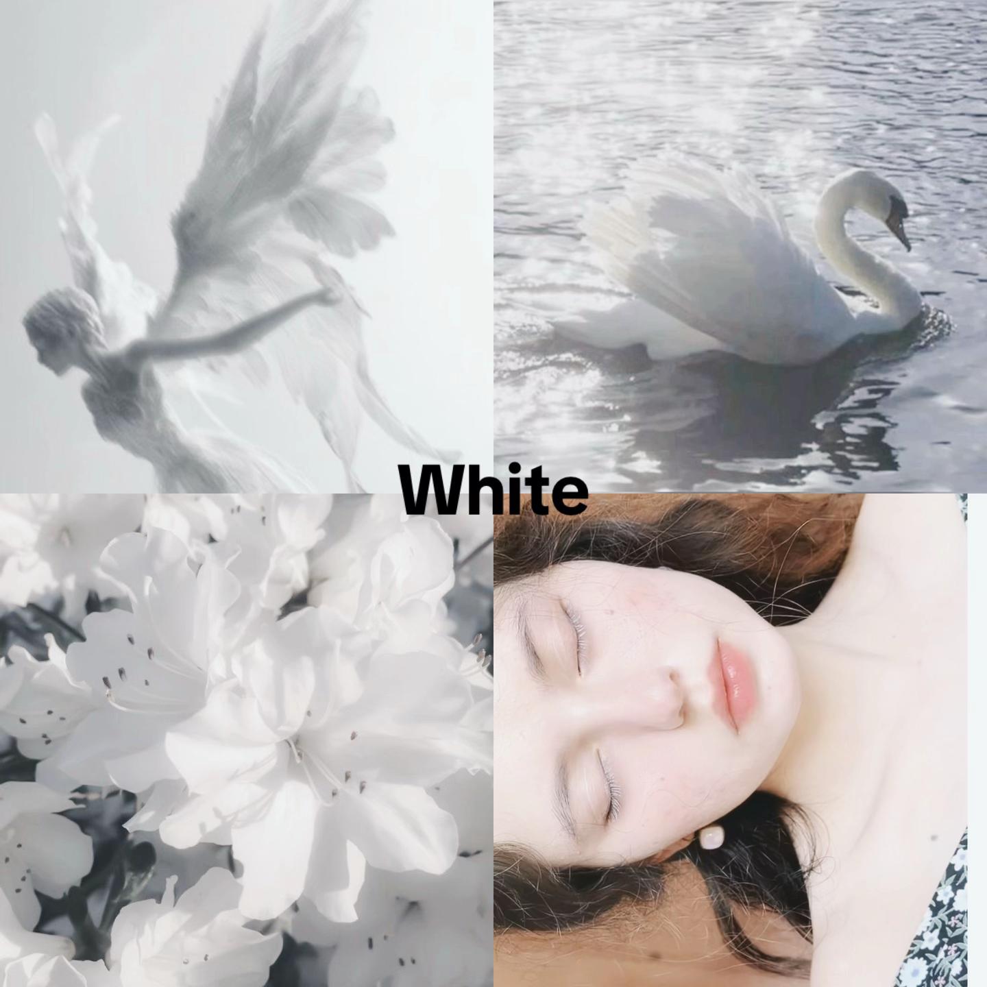 @🦢