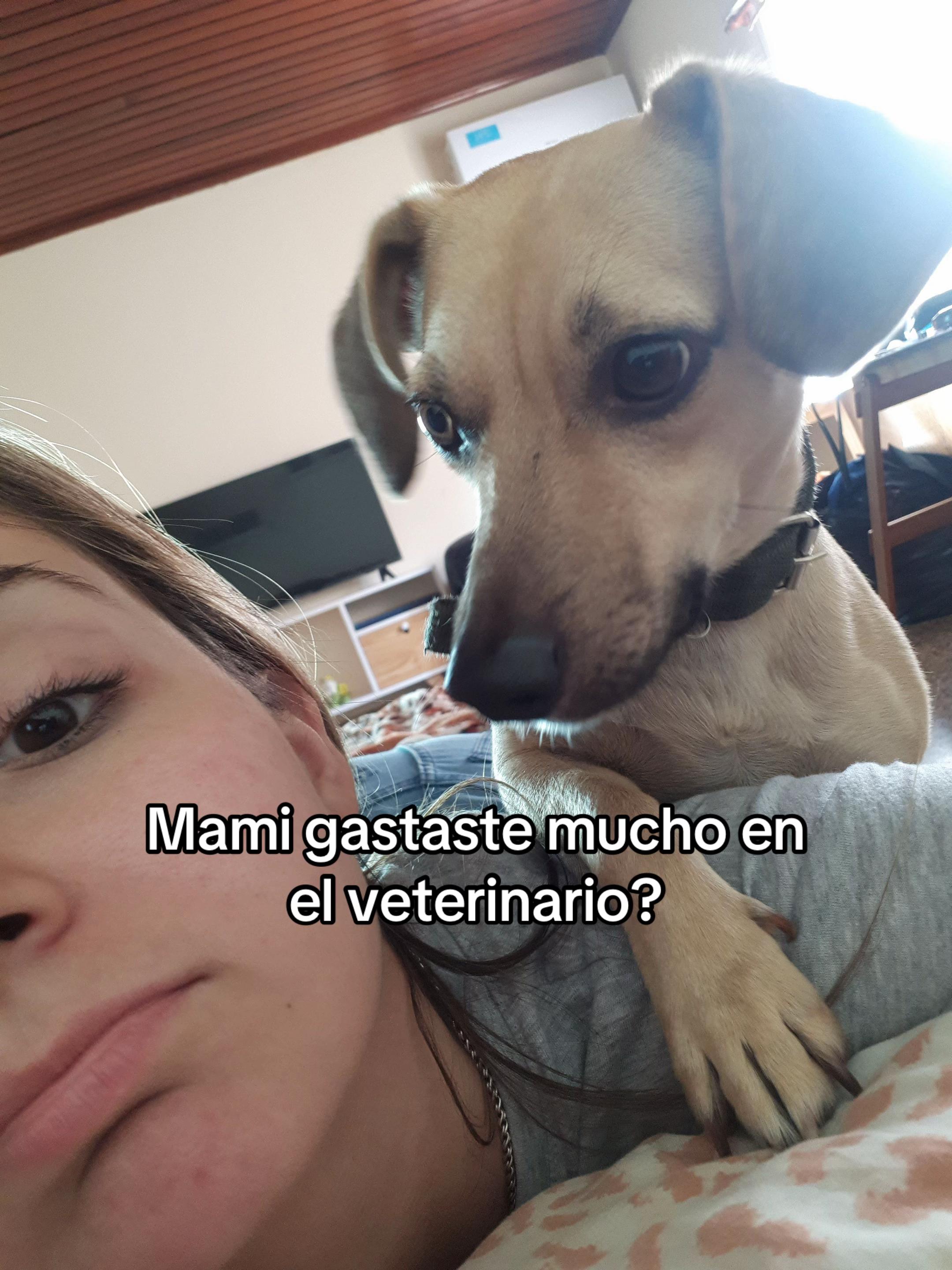 @Gabriela Milanesse