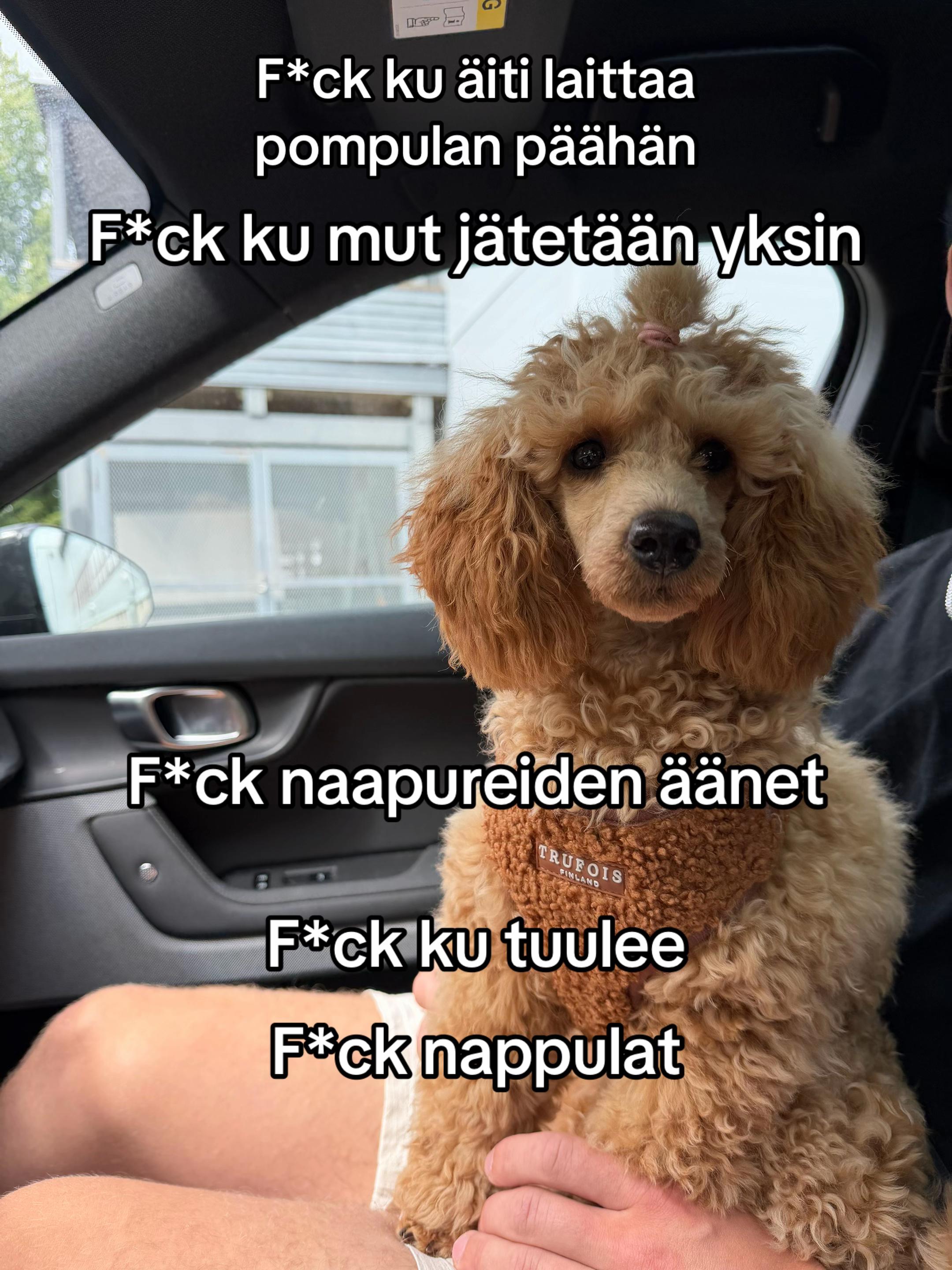 @fannipoukkula