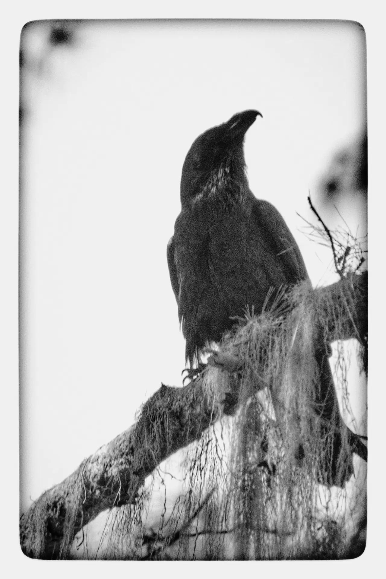 @havr-photo.picfair.com