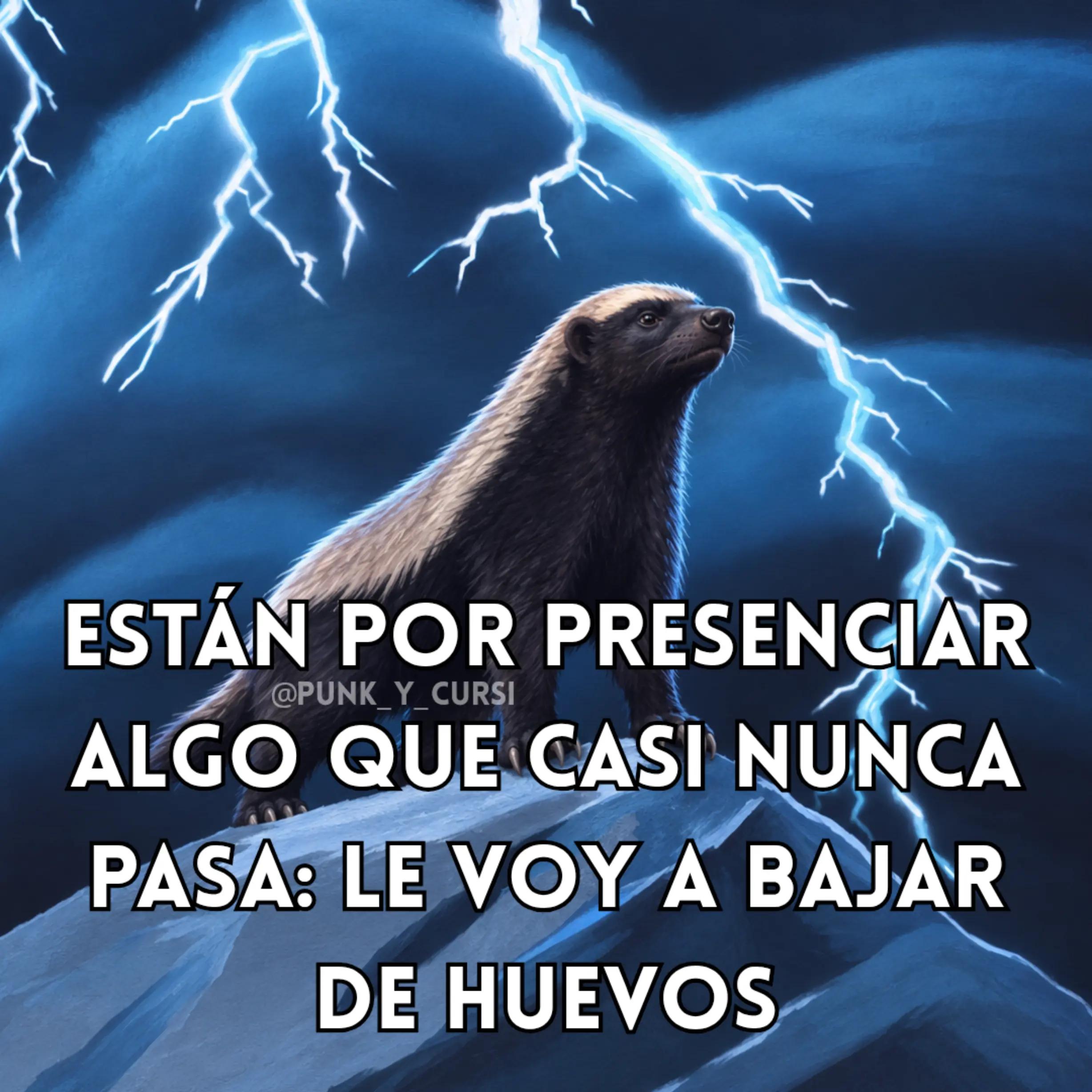 @SAMO
