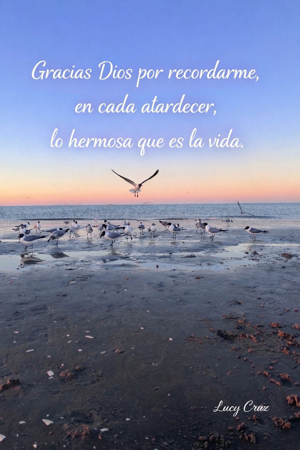 @Lucy Cruz