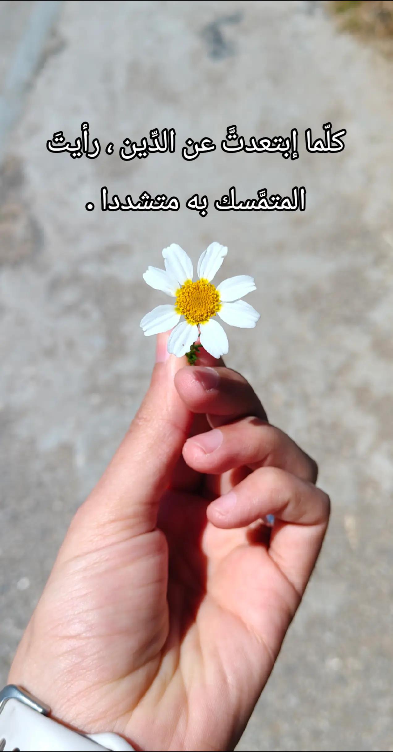 @🌹 خَلَفْ لِخَيْرِ سلَفْ 🌸📚
