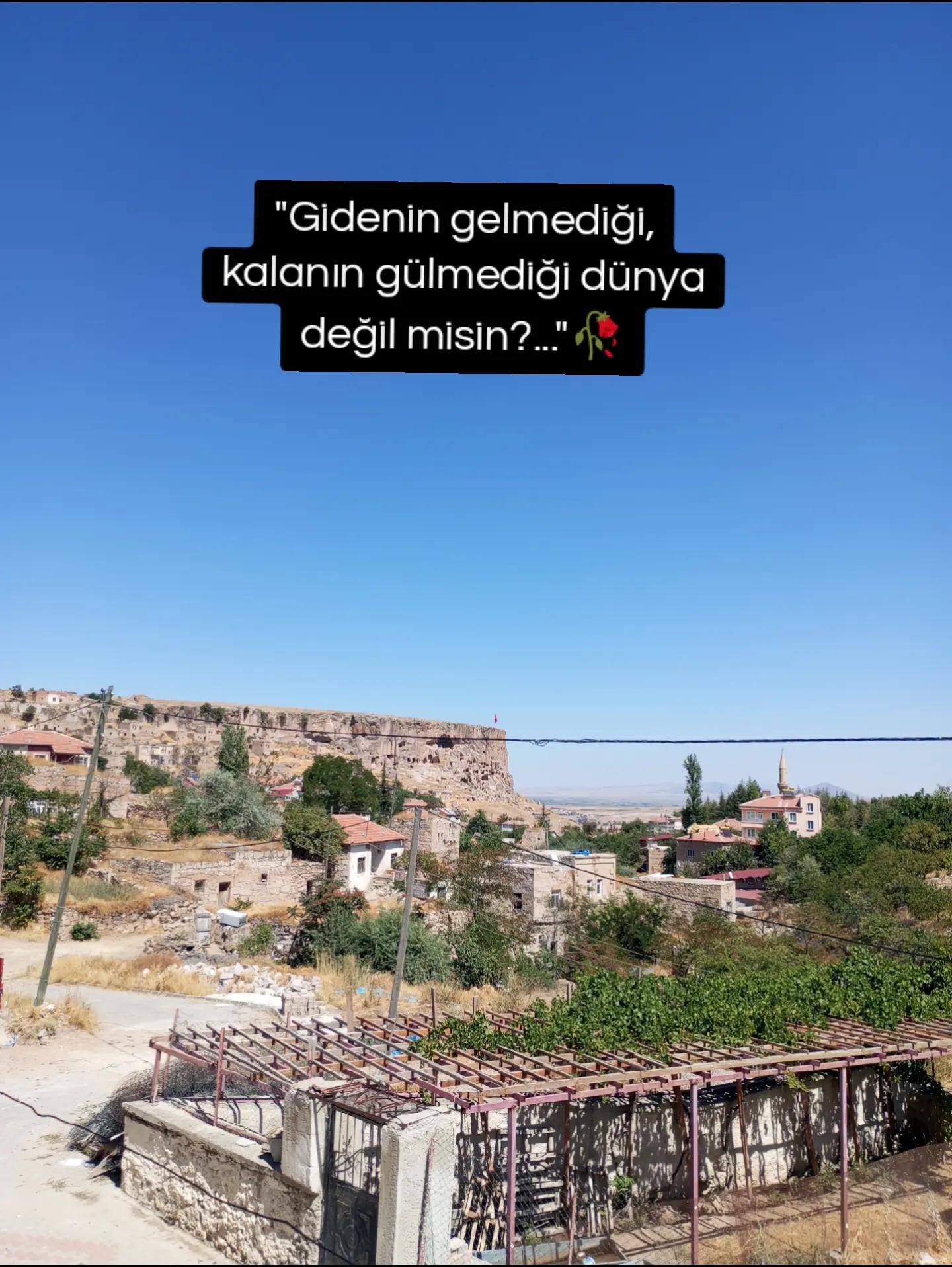@Tahsin_Piko