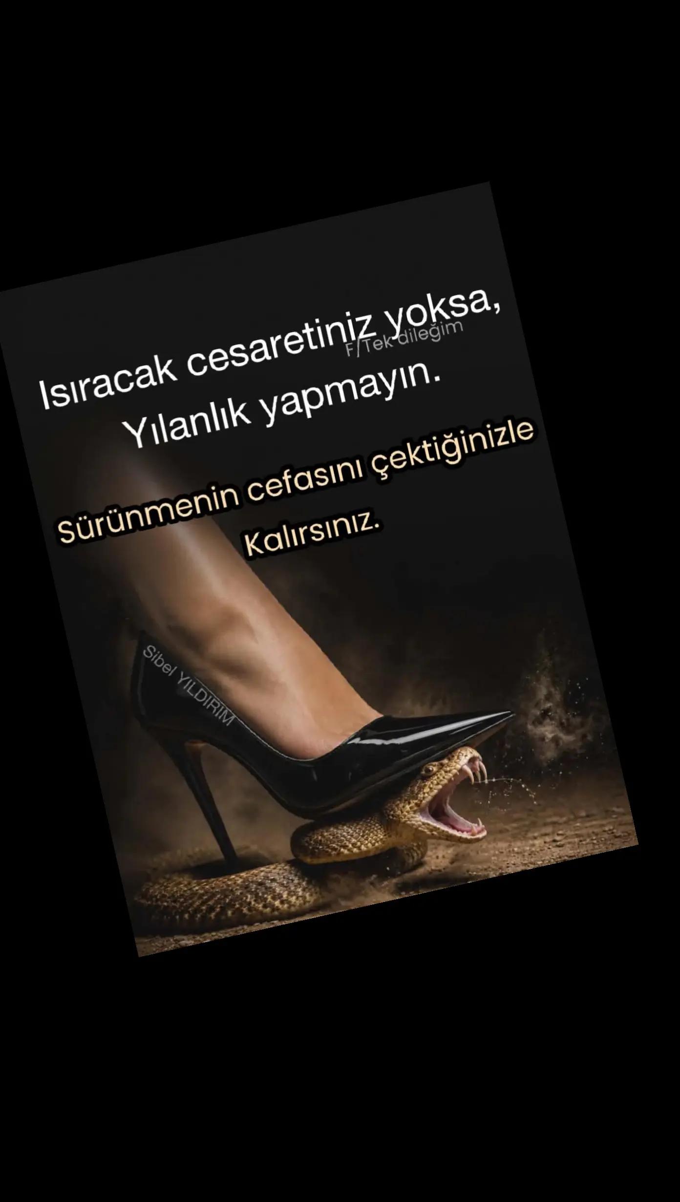 @papatya