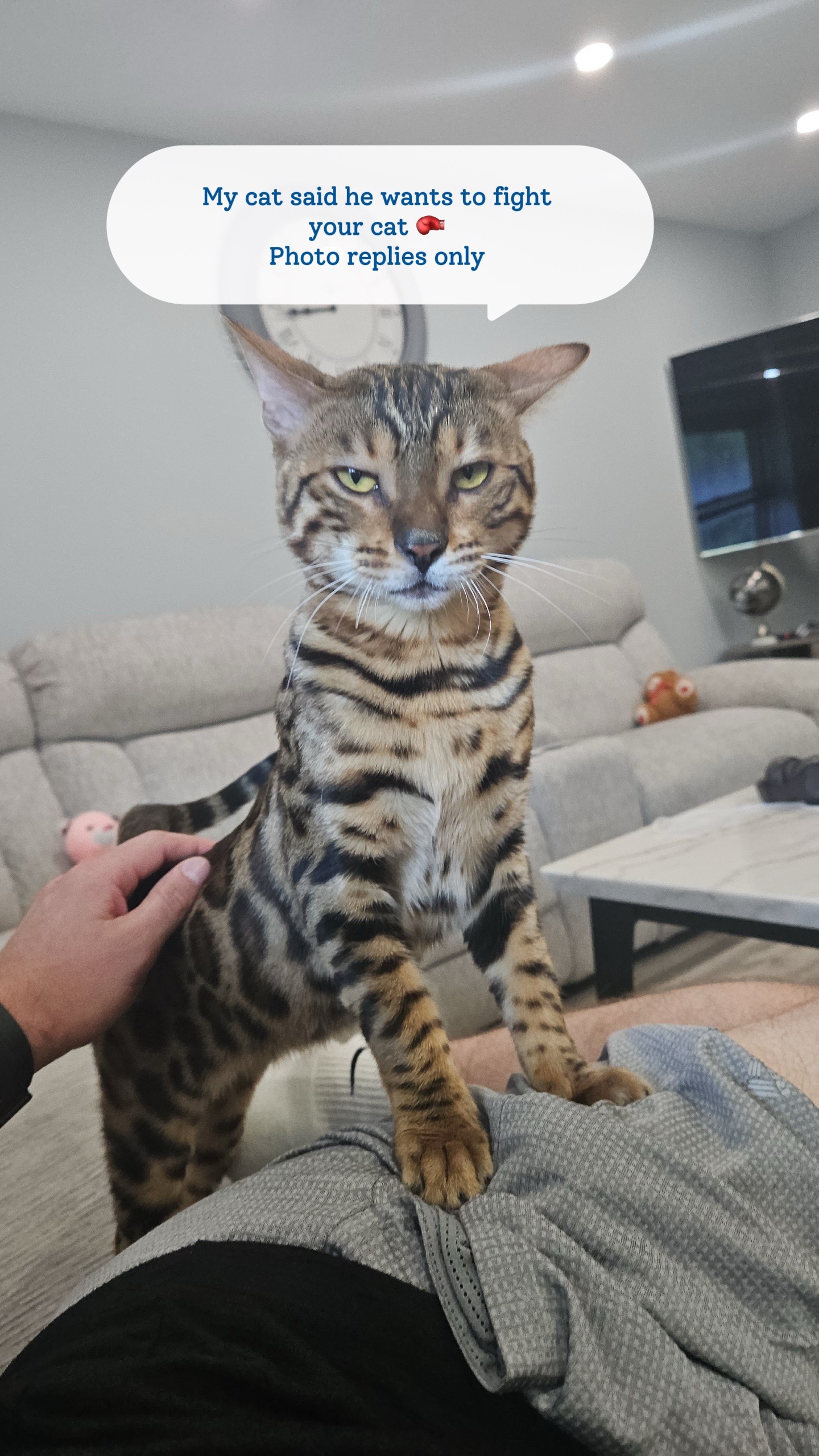 @Macho_Tiger_Lucky