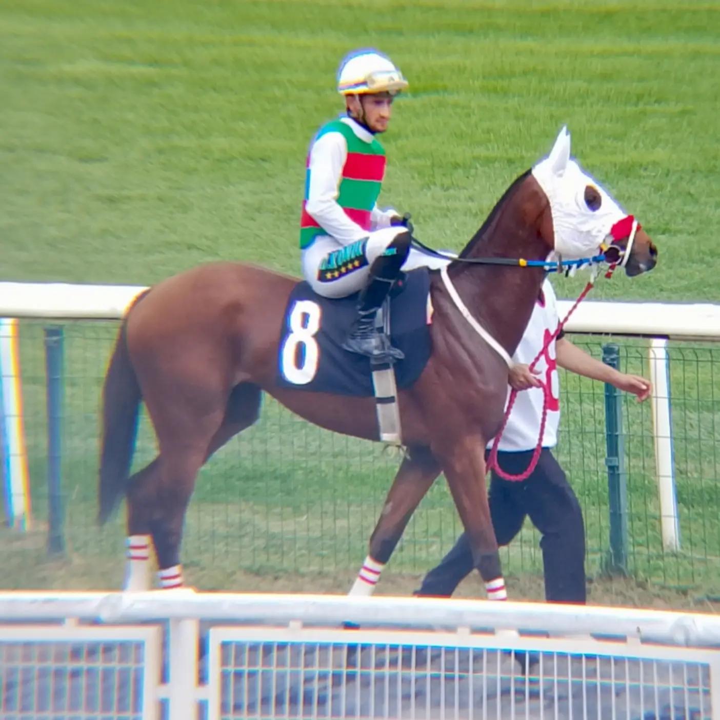 @brs horse racing