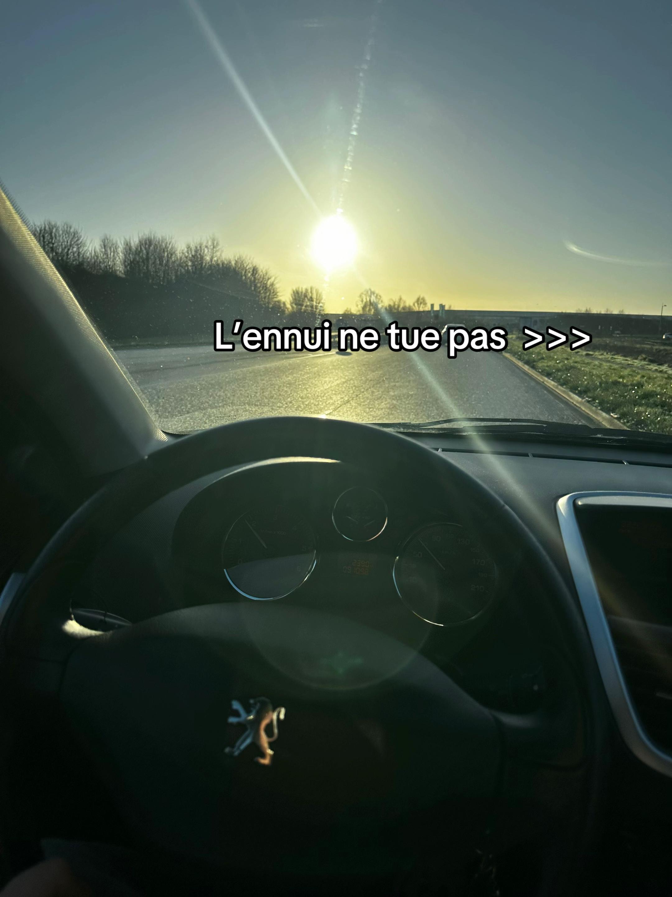 @Namizo