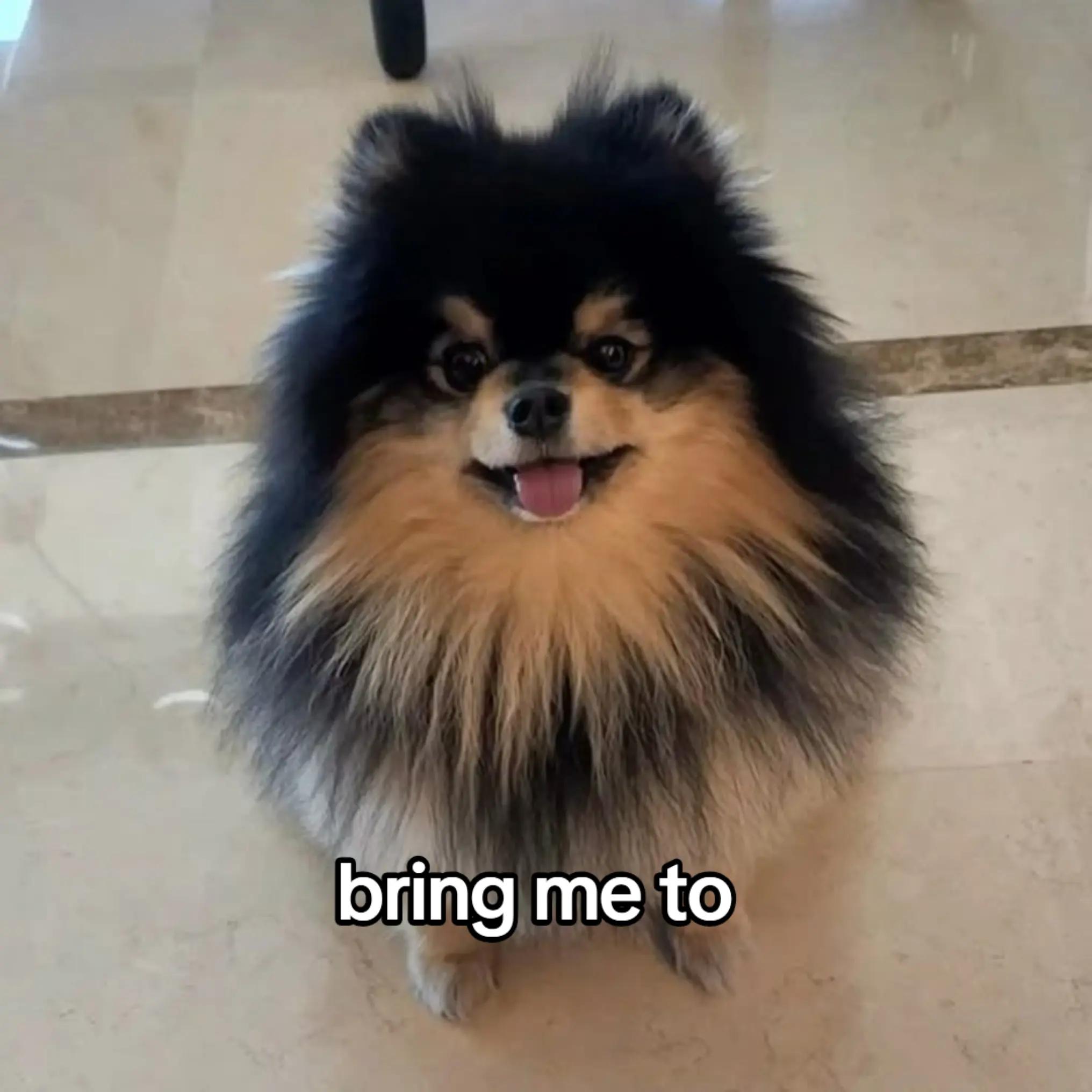 @보라색 나비⊙⊝⊜