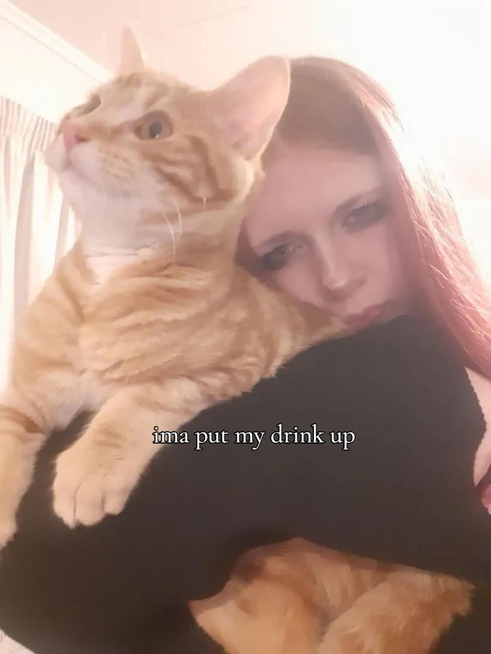 @Katie 😼