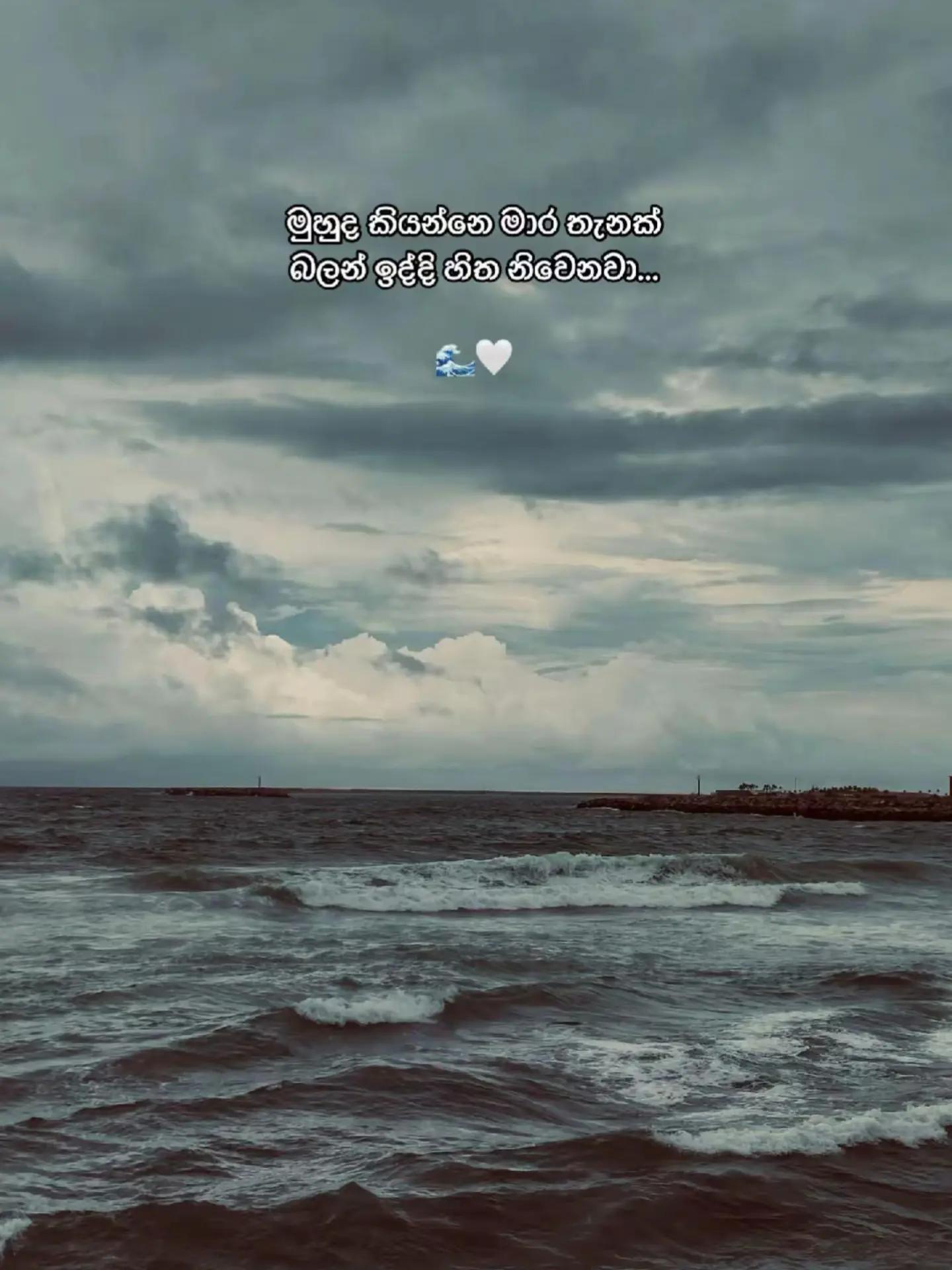 @Anuzz 🕷️