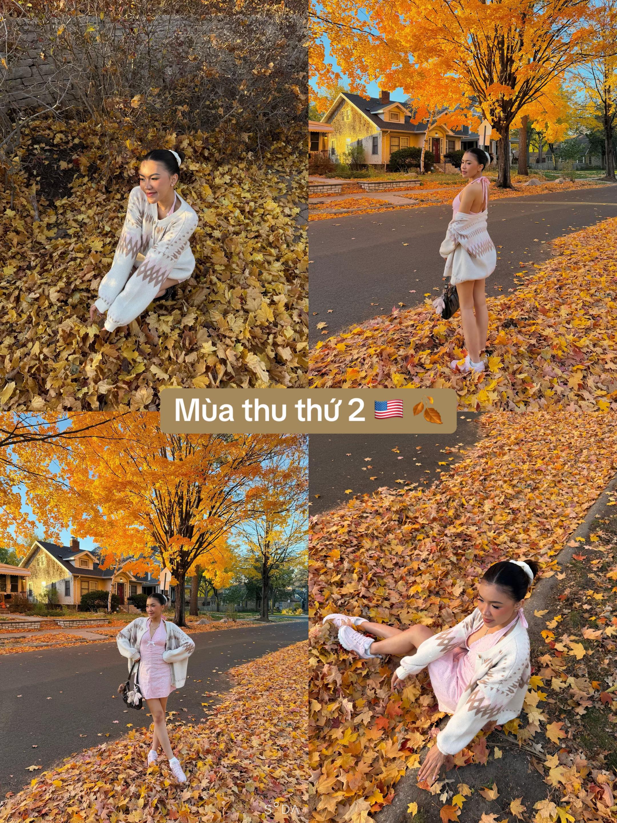 @_Annied0 🇺🇸🇻🇳