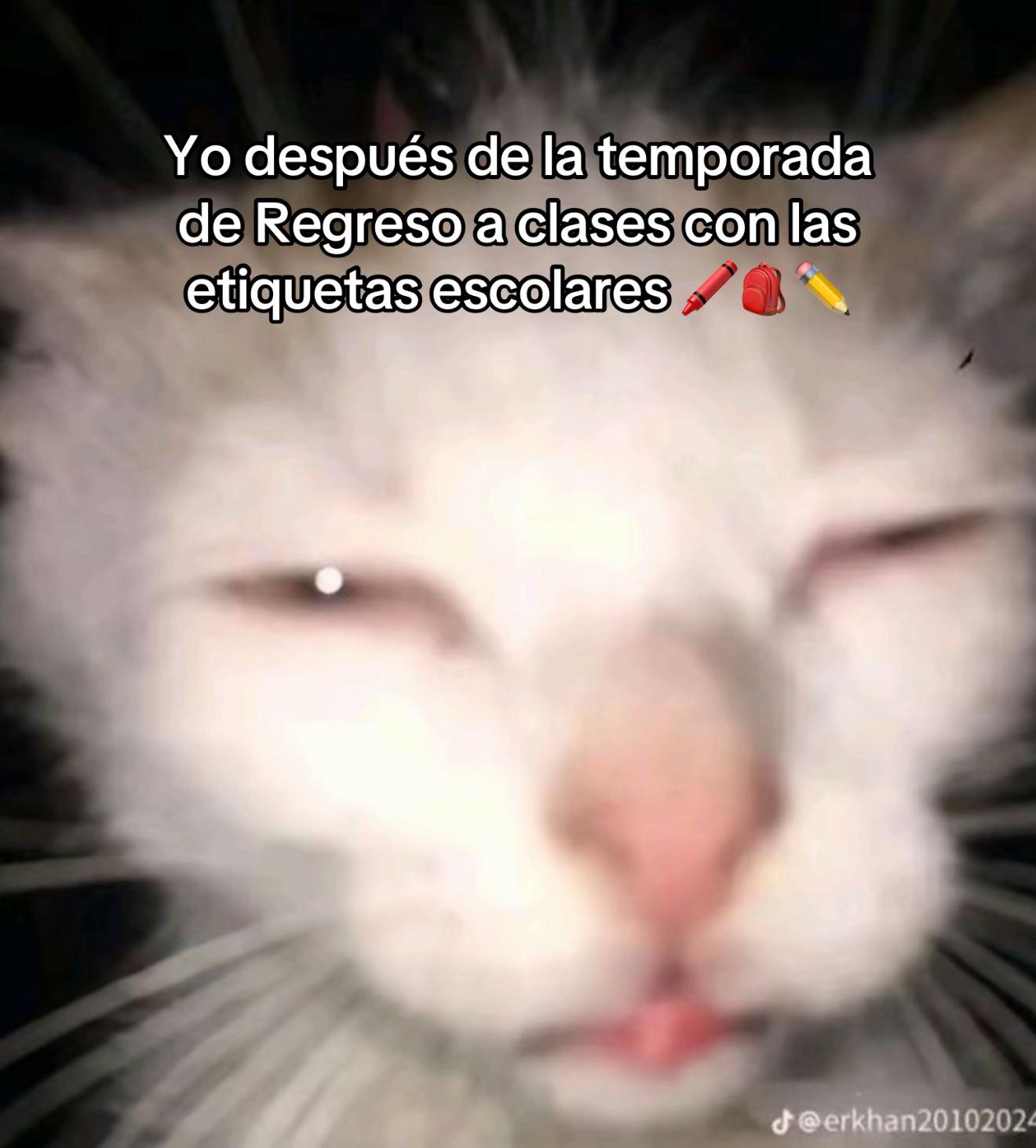 @Itza Garnica