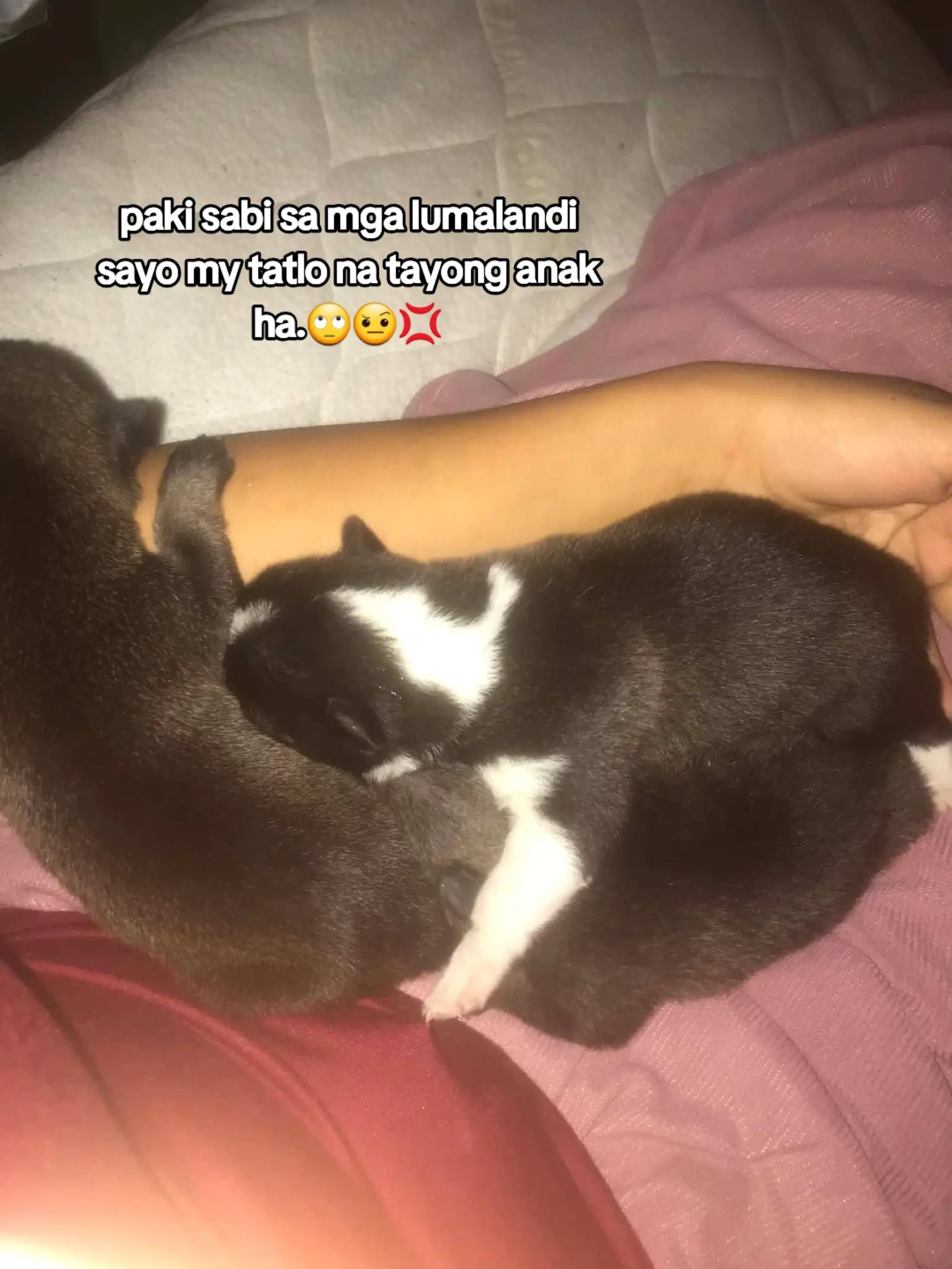 @Jeng jeng💞💢