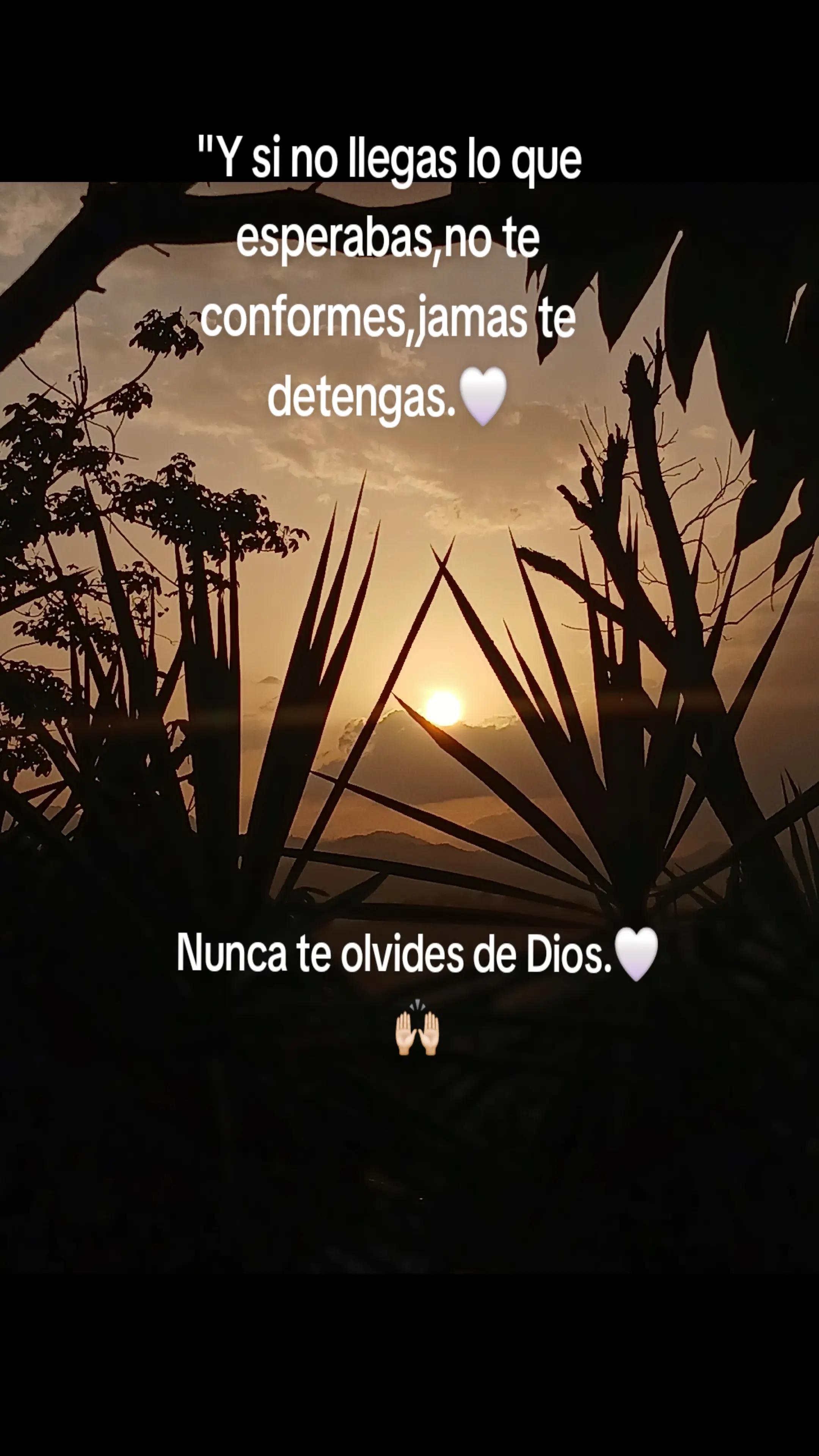@Melissa Castro⚡️💜
