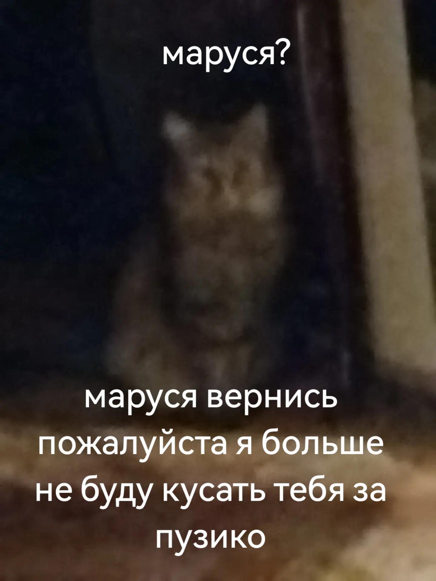 @Noyan
