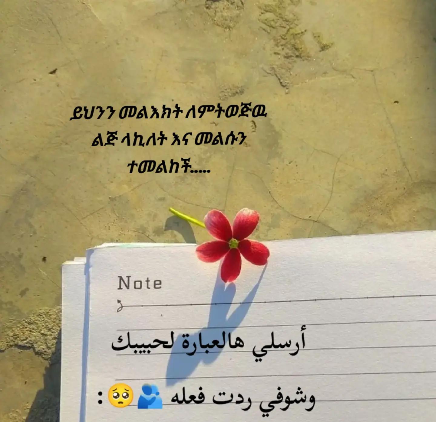 @🤱ام سيرين 🧕