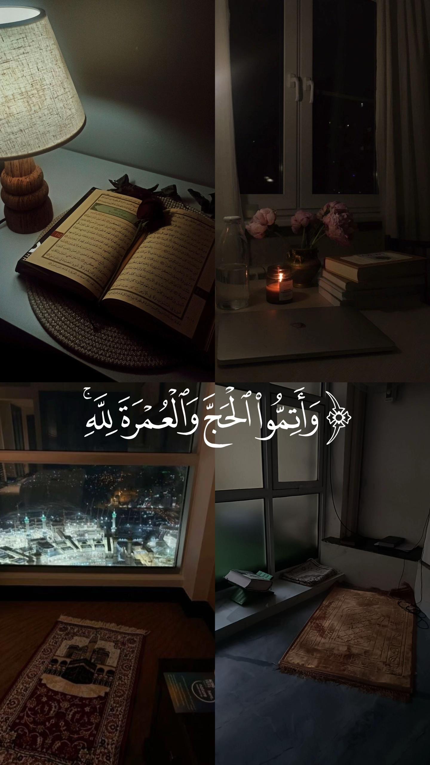 @📿اصيل المركعي📚