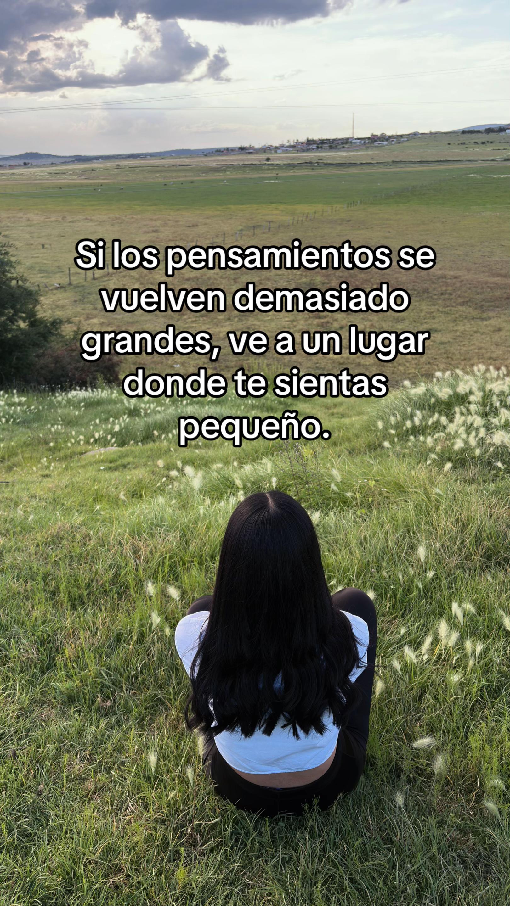 @ale_vazquez