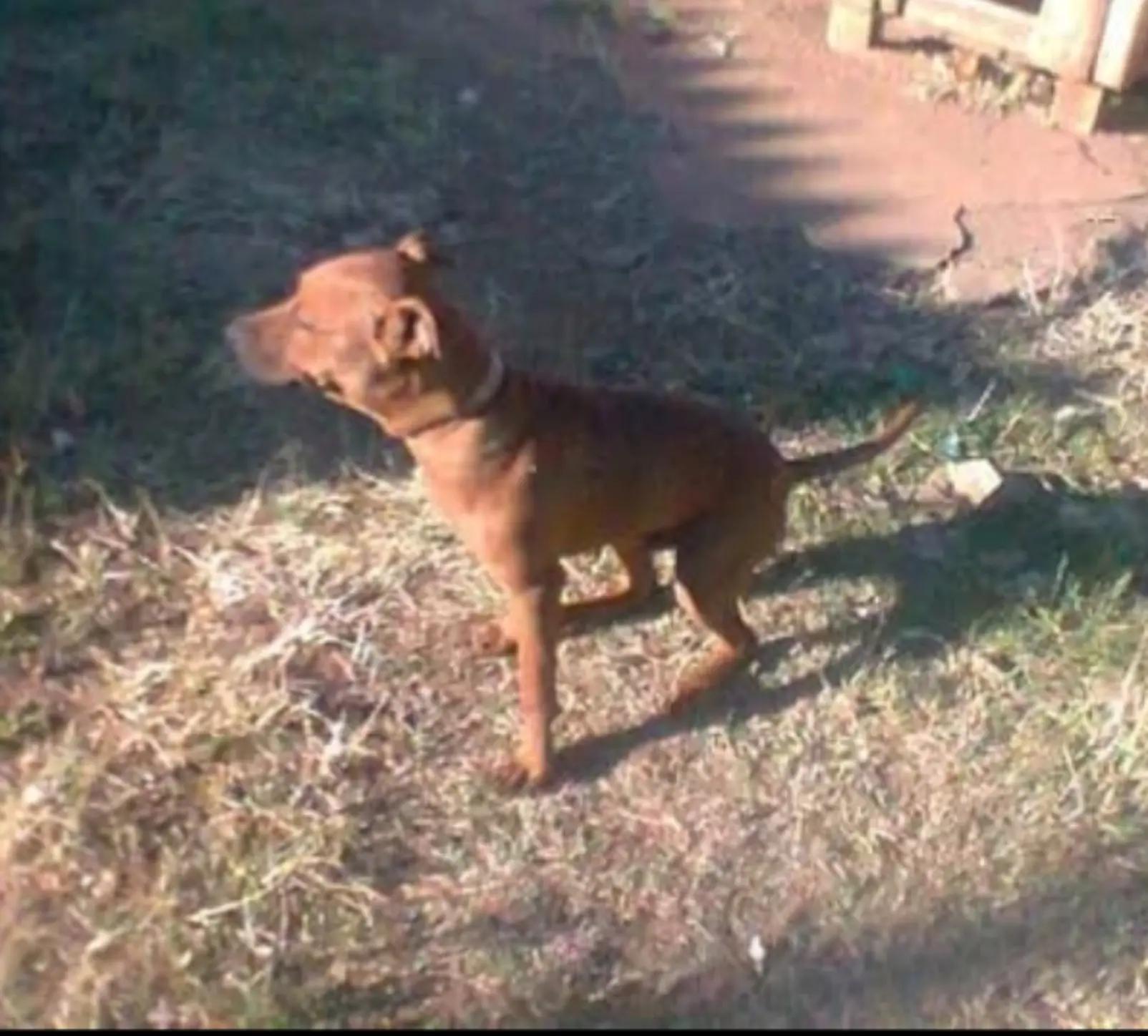 @SAAPBT_GAMEDOGS